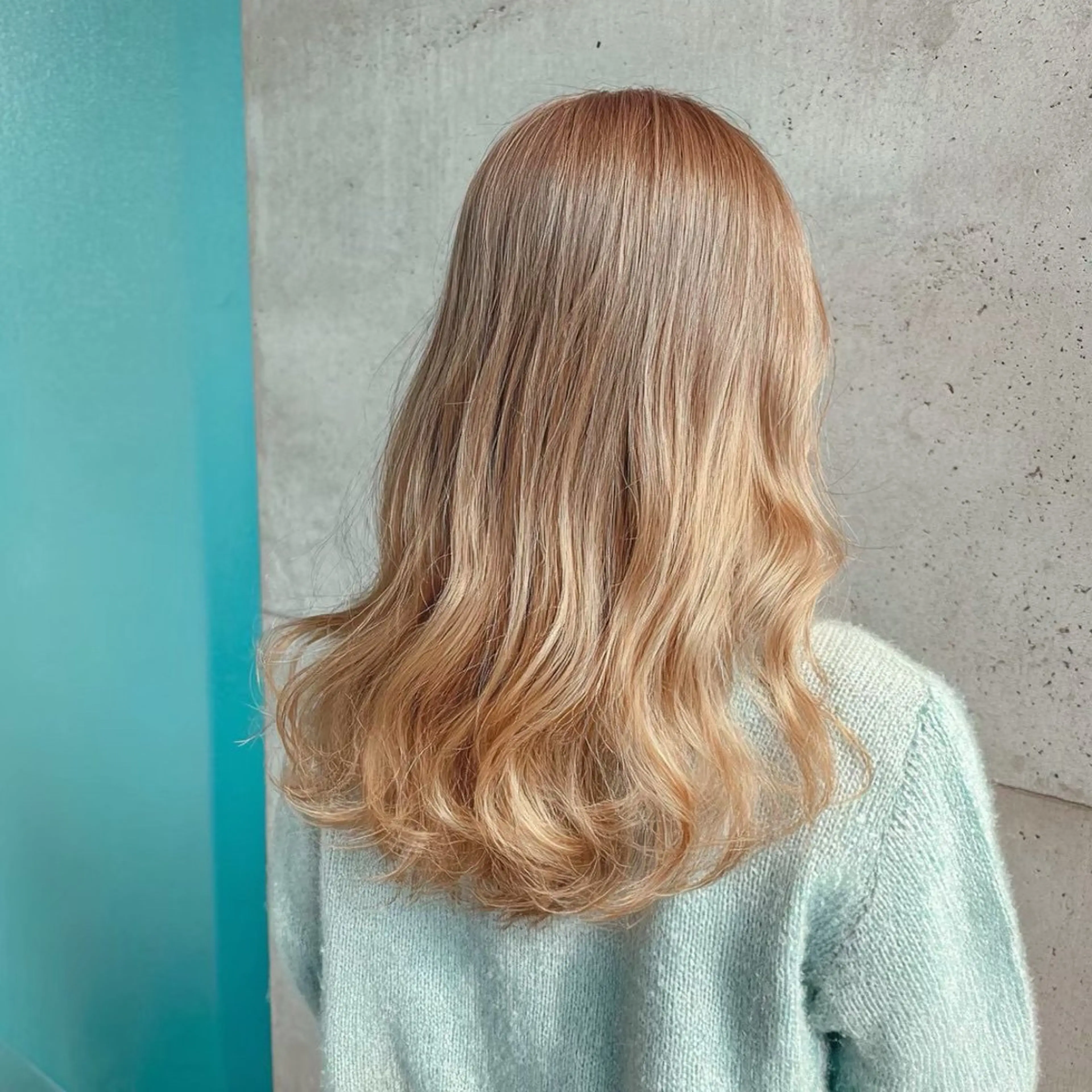 セミロング カラー ヘアカラー トリートメント 池袋/カラー特化🎨 ロング料金なし🩵のヘアスタイル