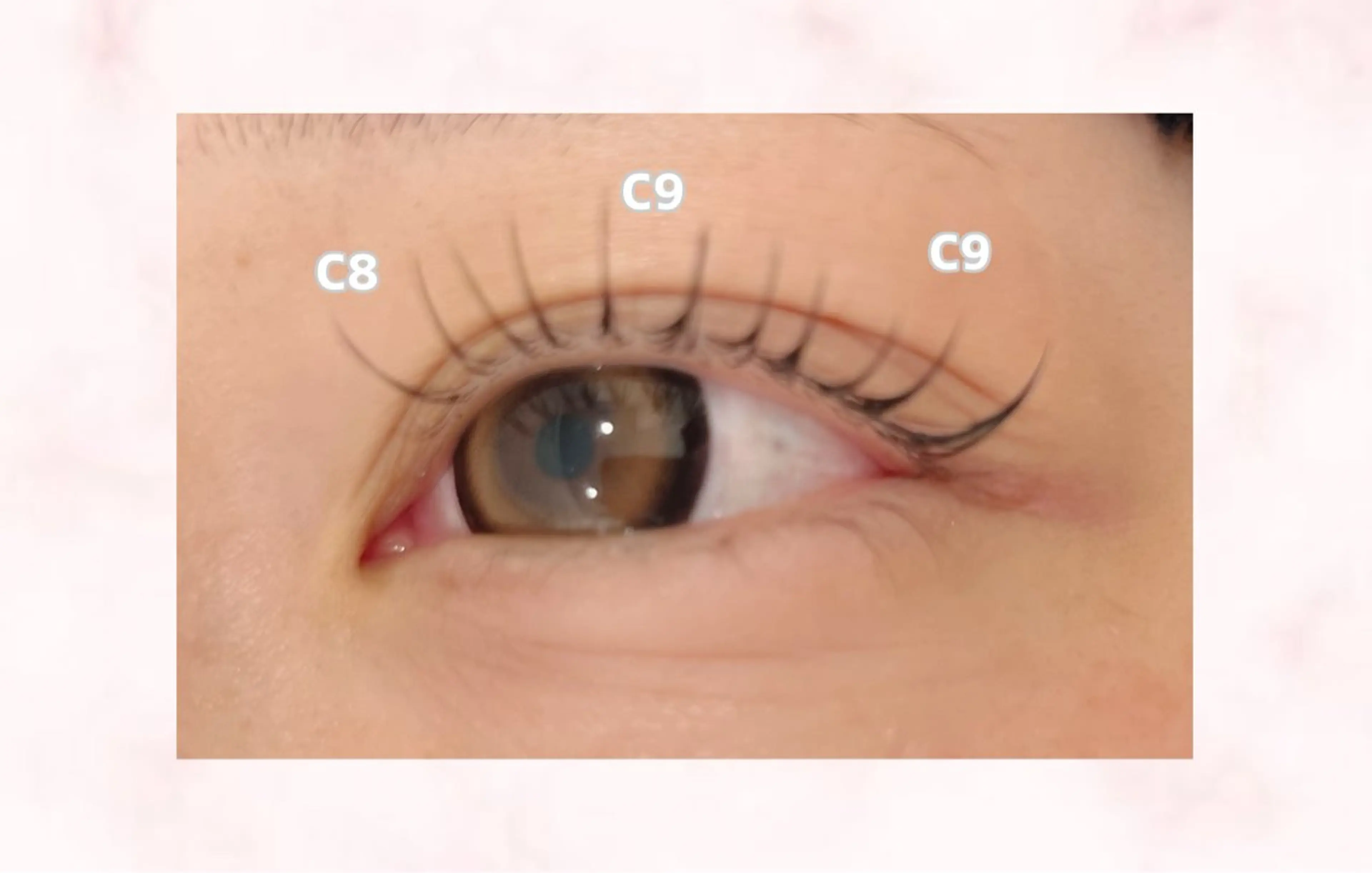 マツエク・マツパ Cカール ナチュラル nekoRu wakanaのマツエク・マツパデザイン