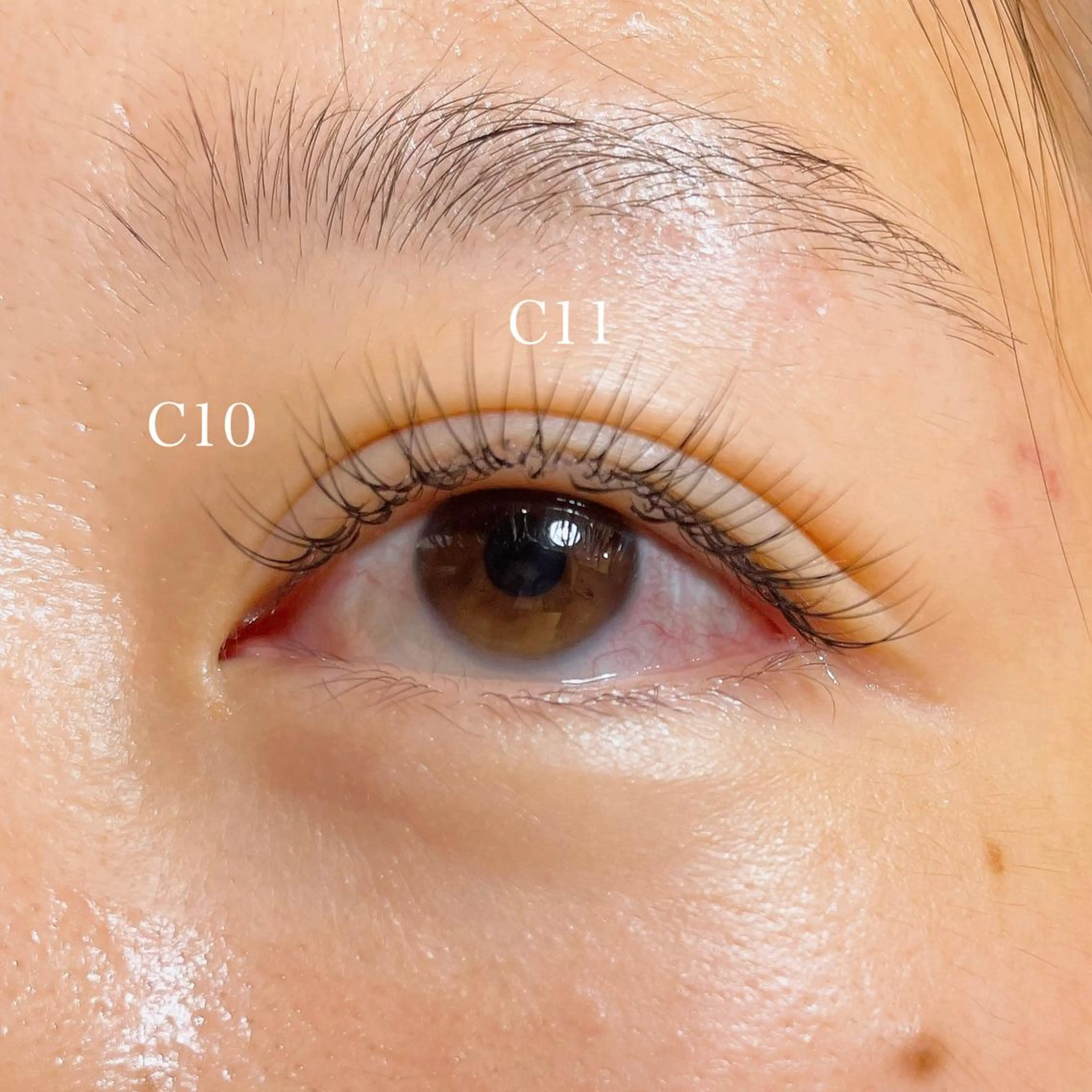 マツエク・マツパ Cカール ナチュラル 玉木 愛の眉毛・アイブロウイメージ