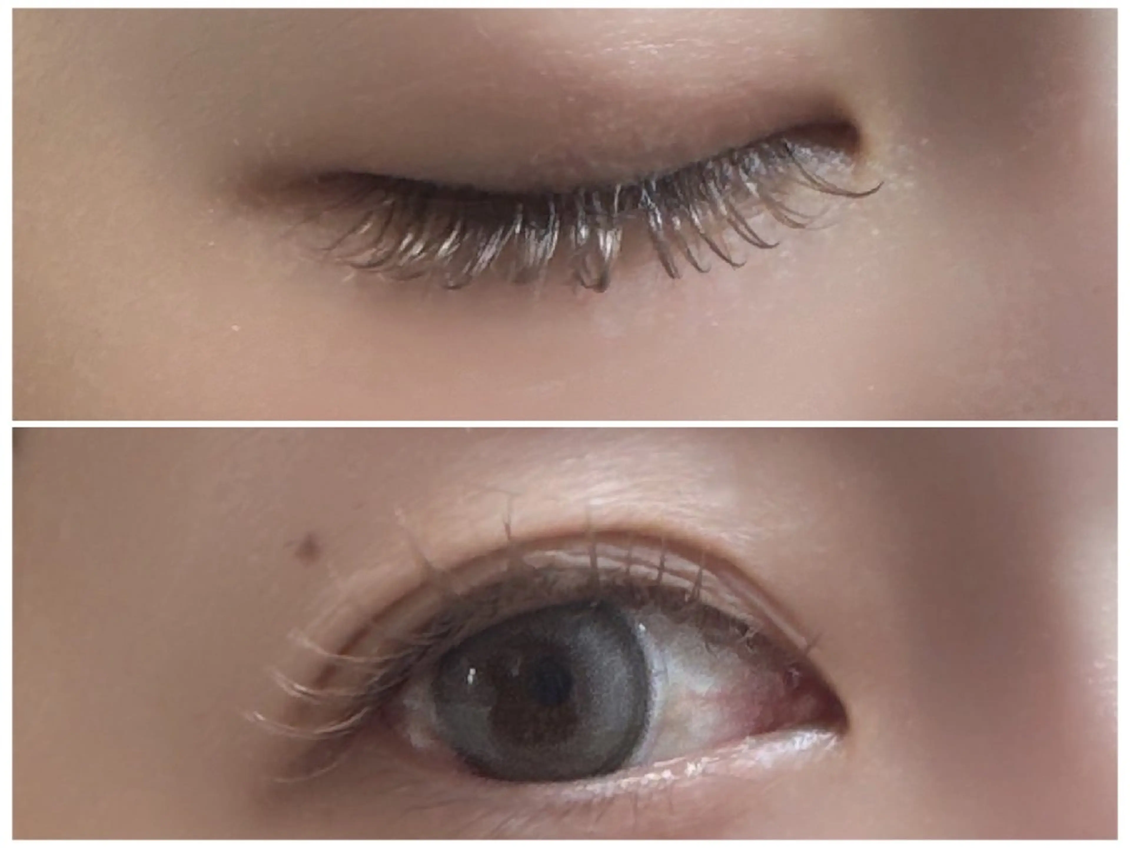 オールブラウン　120本迄の写真