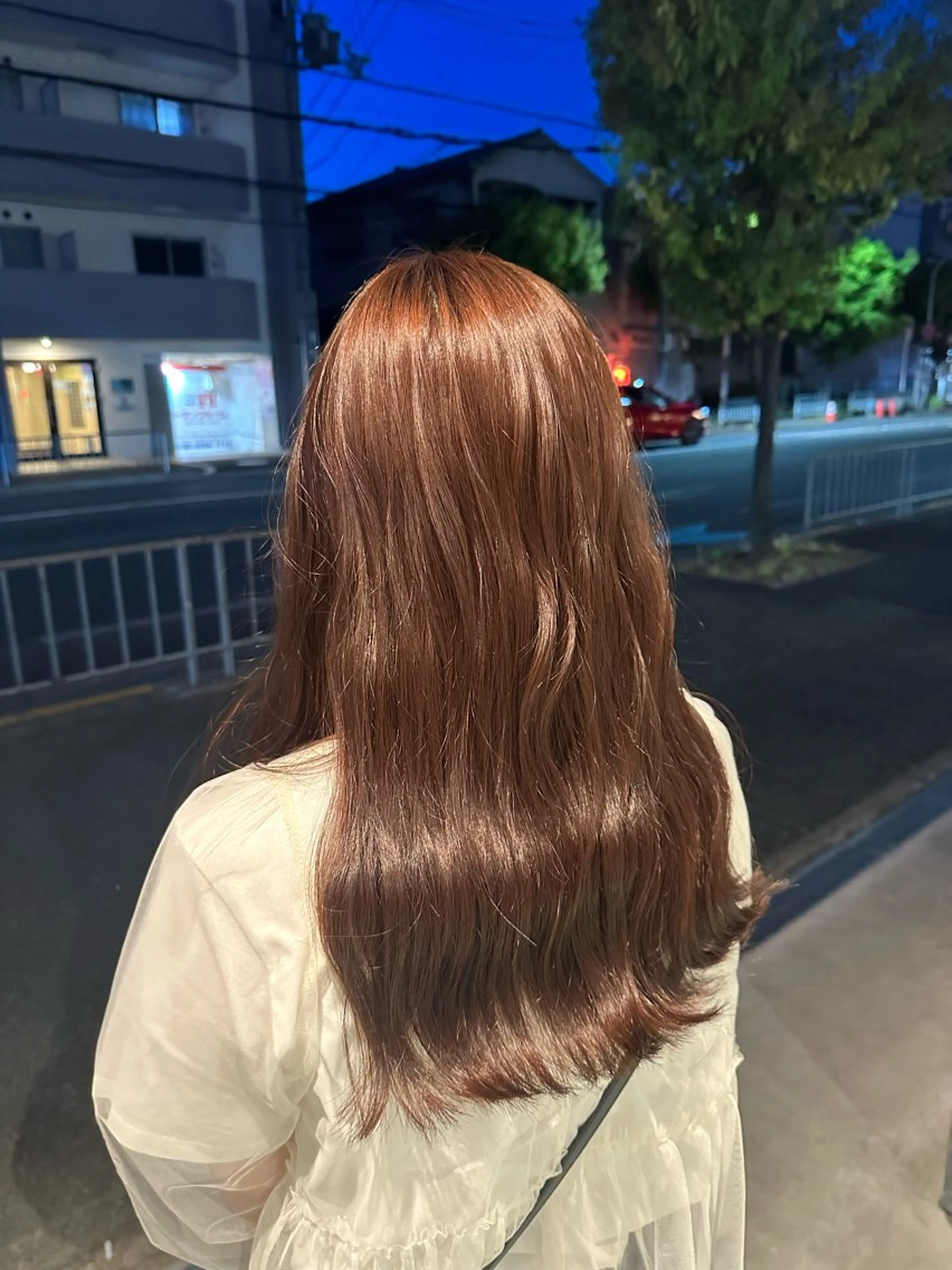 カラー ナチュラルカラー /カット/藤井美冬のヘアスタイル