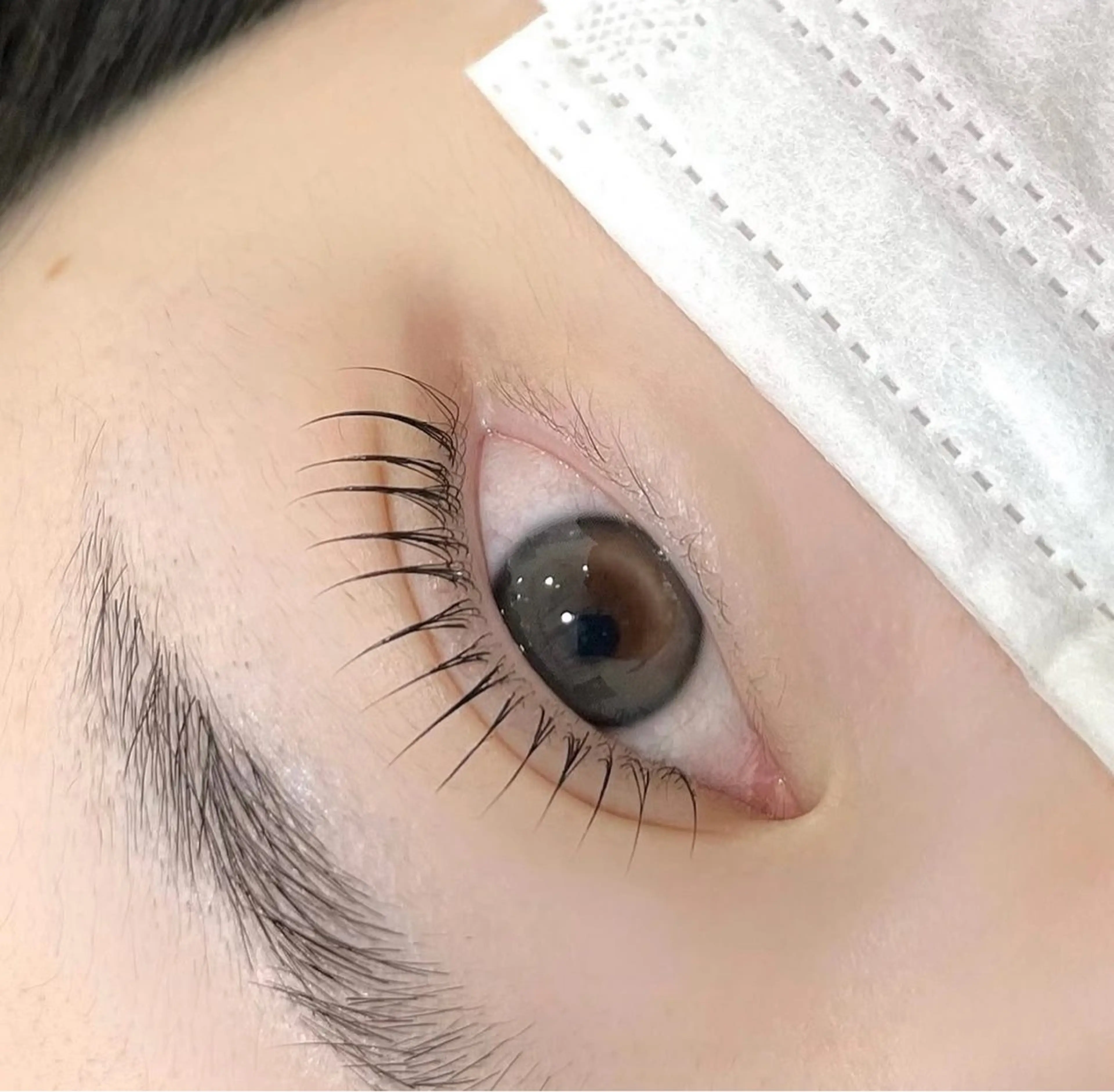 マツエク・マツパ 束感まつ毛 韓国風マツエク パリジェンヌラッシュリフト マツパ 池袋💖 チルザルトサロンのマツエク・マツパデザイン