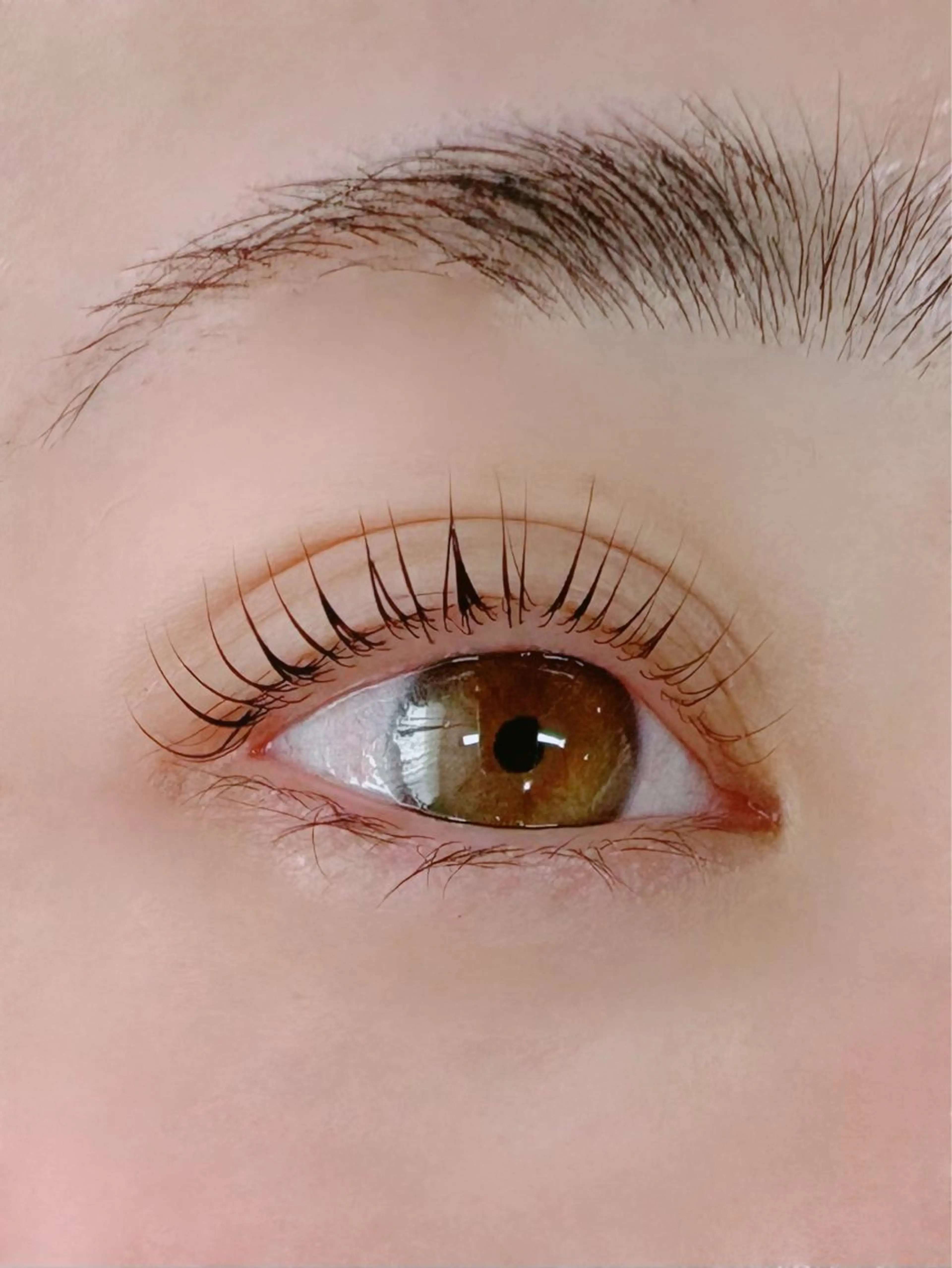 マツエク・マツパ 【SIRIUS】 ☆yurikoのマツエク・マツパデザイン