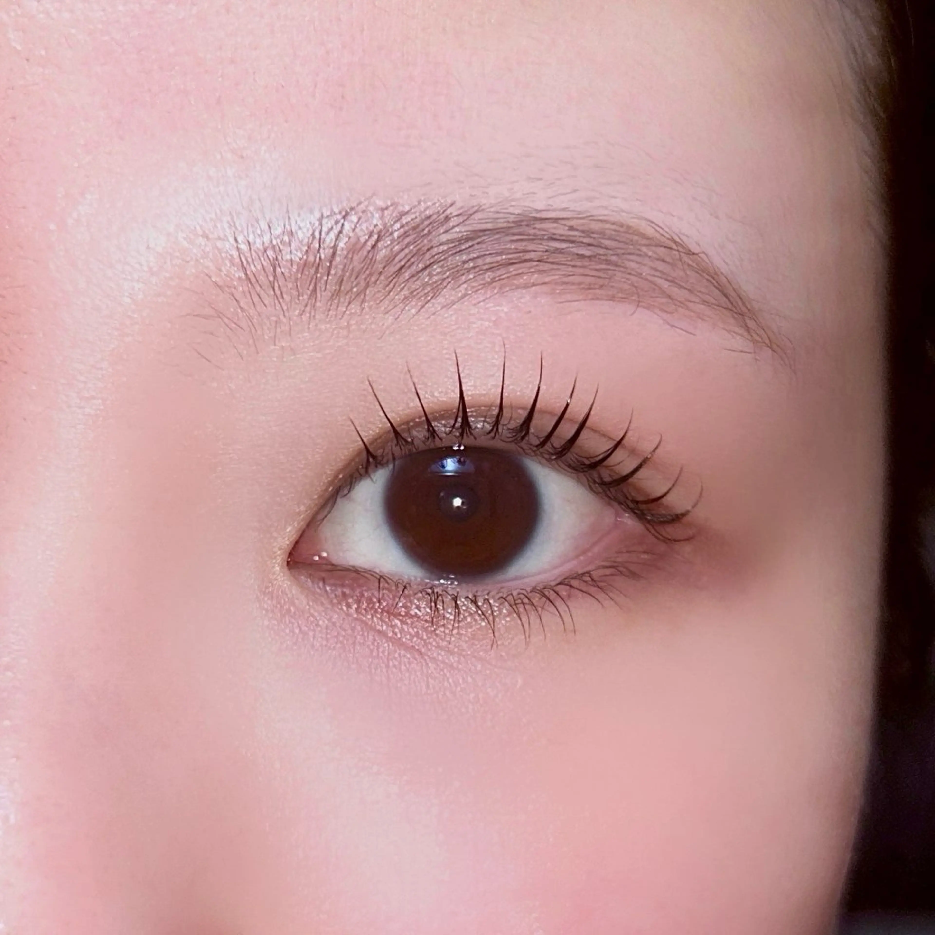 ⋆⸜ご新規様価格⸝⋆ラッシュリフト上(まつパ)+コーティング付✦.*の写真