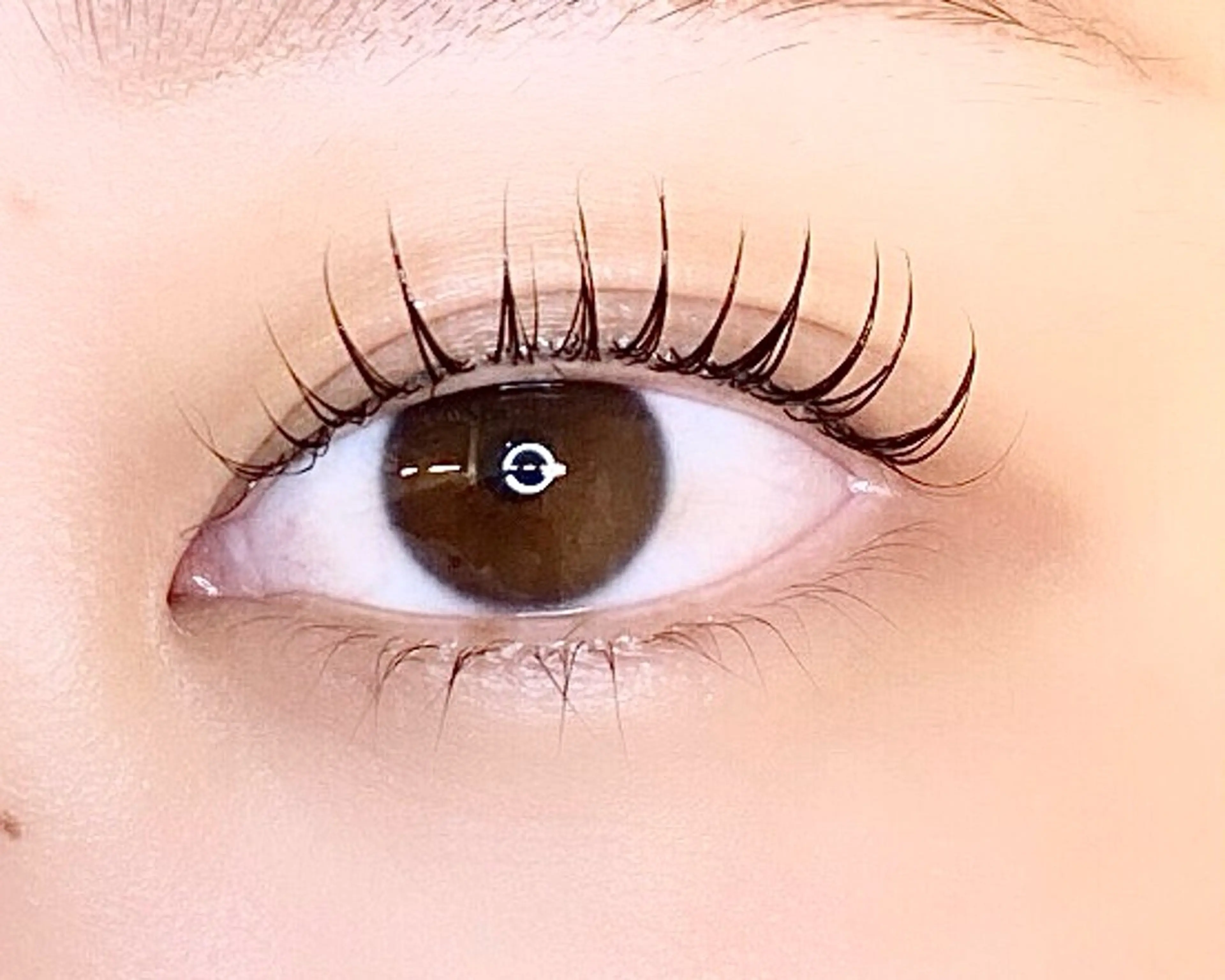 ✨練習モデル✨ラッシュリフトまつげパーマ　上下　⭐️トリートメント付き⭐️現金払いのみの写真