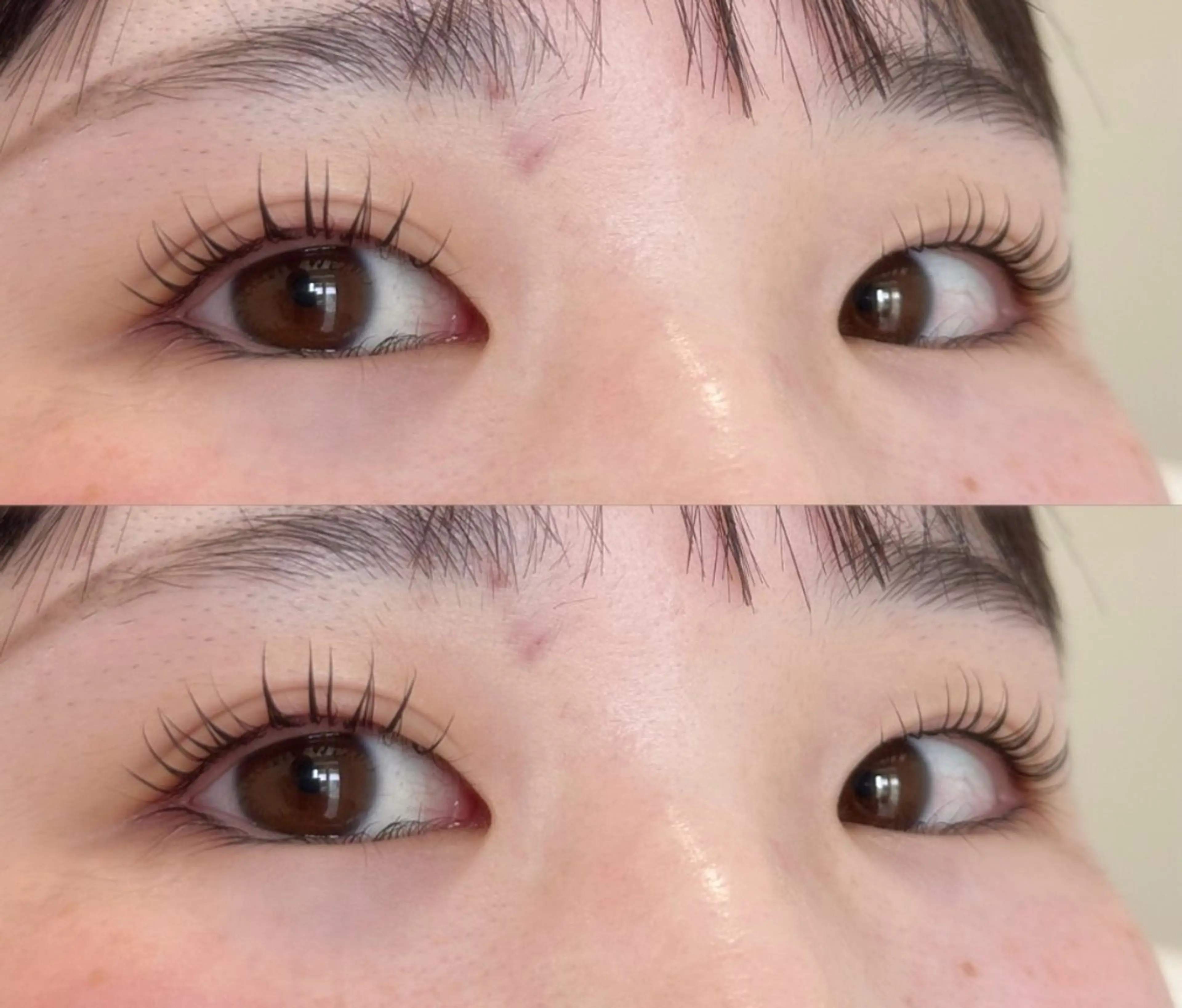 マツエク・マツパ mumu野々市/ ⋆.🐈‍⬛Ramuのマツエク・マツパデザイン