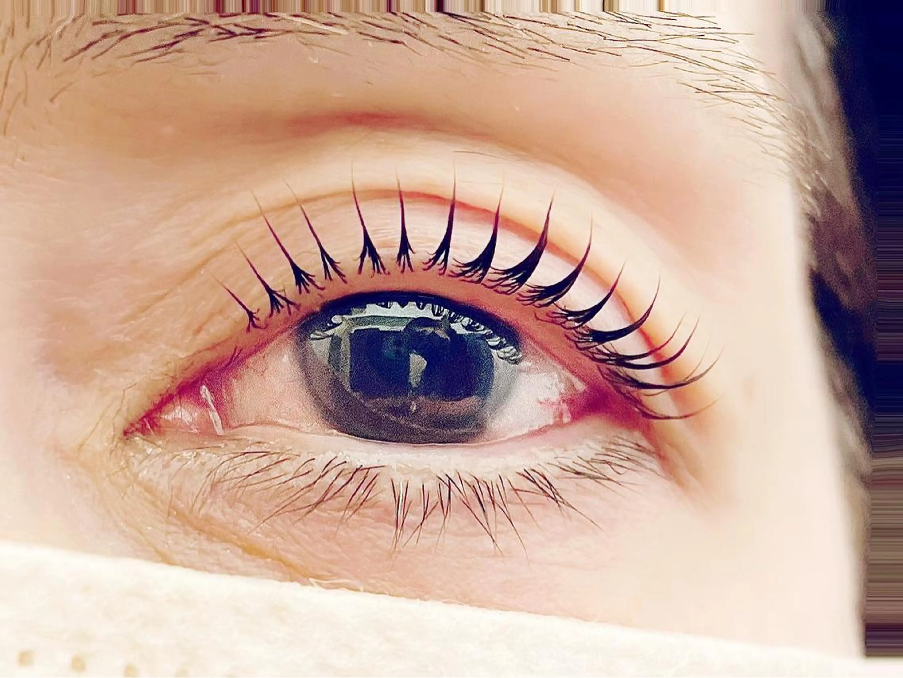 マツエク・マツパ 一重×まつ毛パーマ フォーラル 福岡のマツエク・マツパデザイン