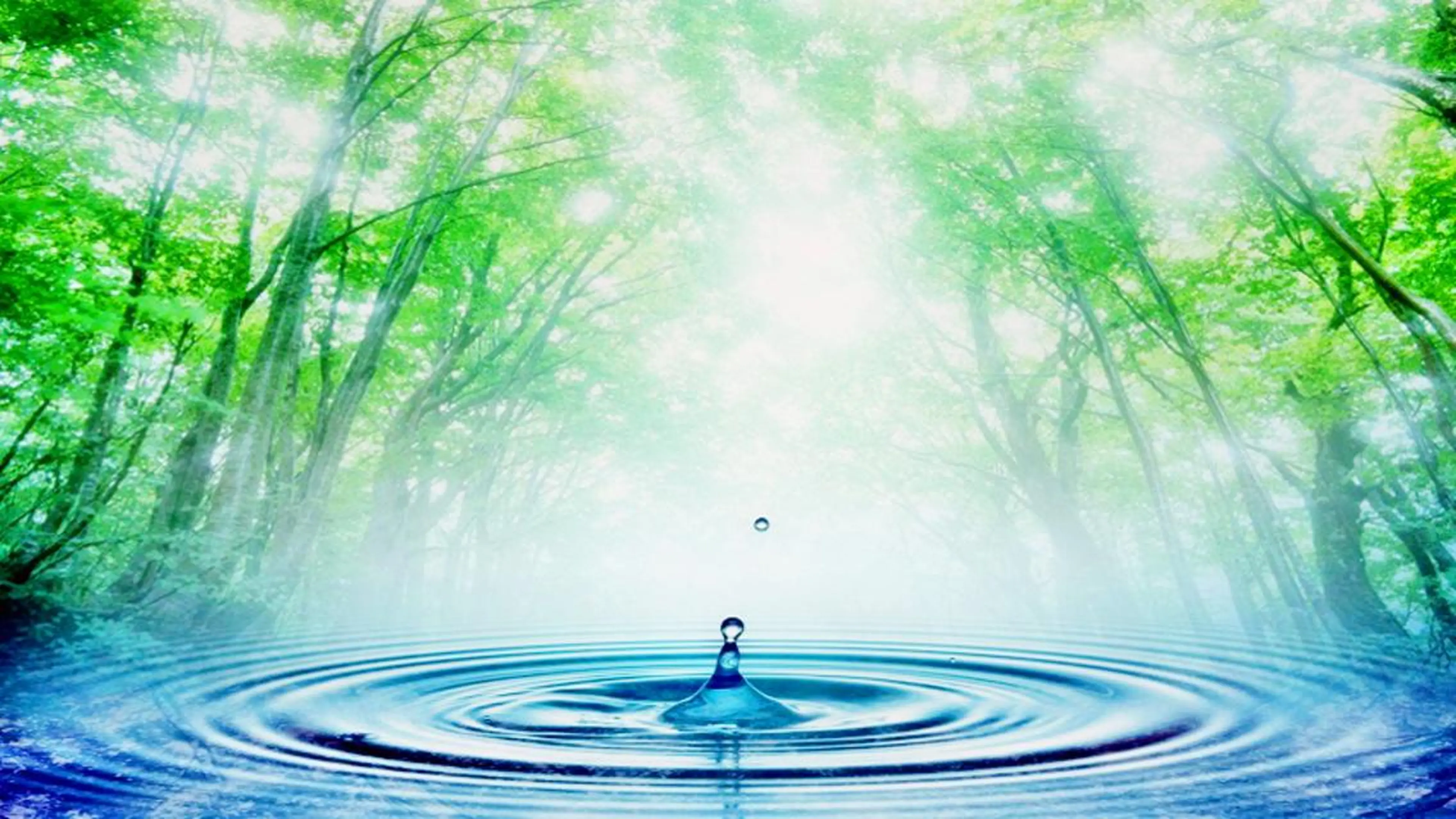 Pongee所属・エステサロン Pongeeのエステ・リラクイメージ