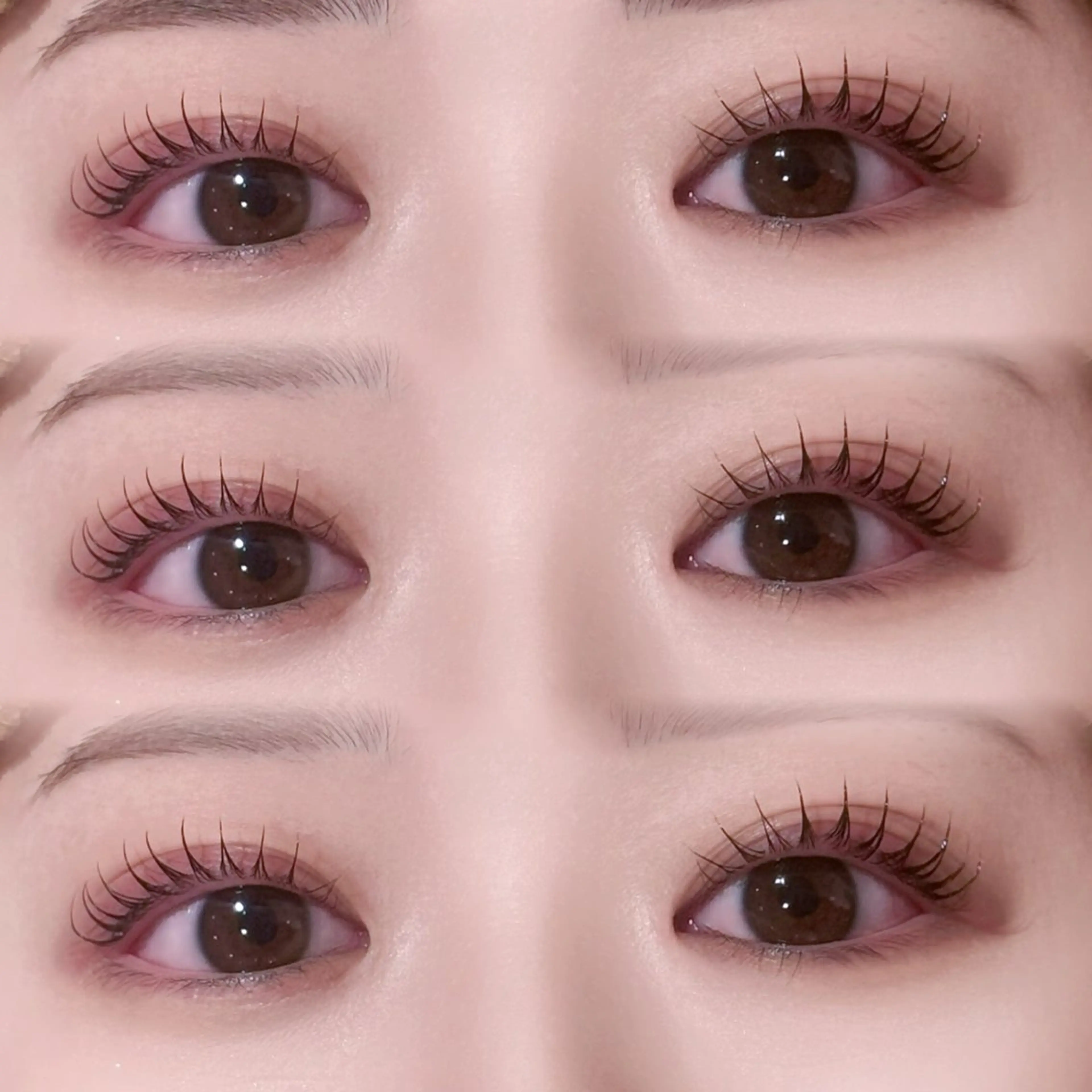 ✦.*当日限定✦.*🍓パリジェンヌ➕アイシャンプー付🌟🍓（美容液コーティング付✨）の写真