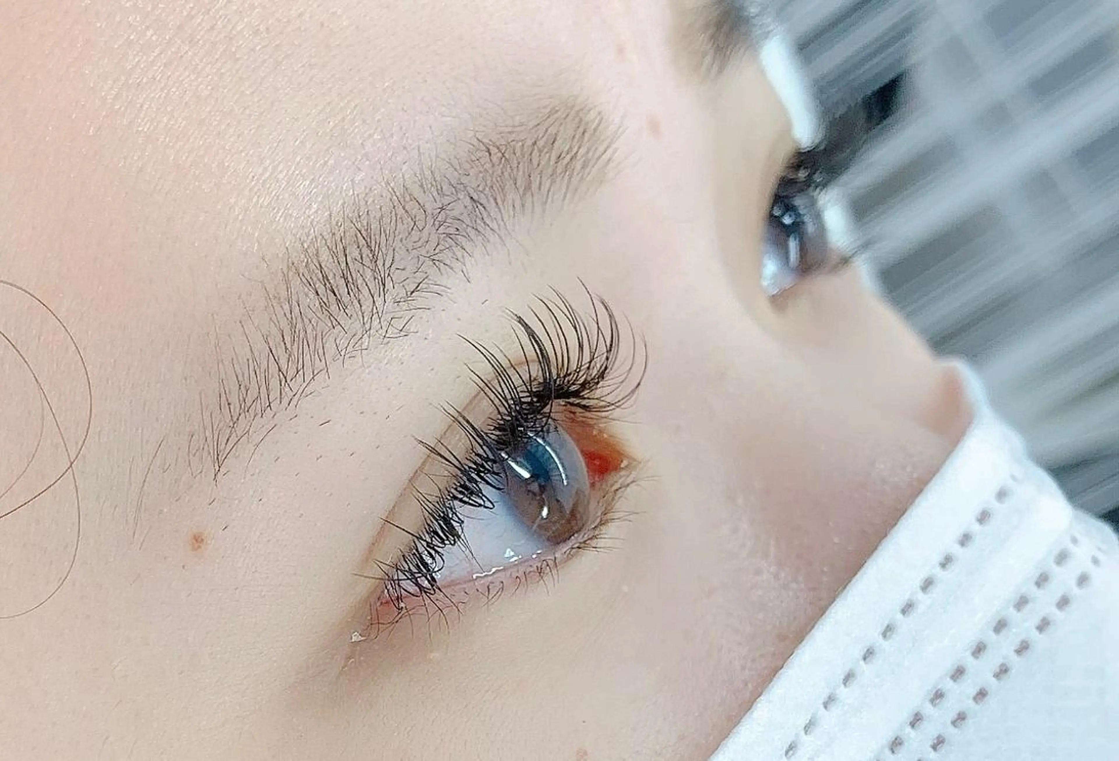 🥀3Dライト(ボリュームラッシュ)80束🥀【🫧オフ込み🫧】の写真