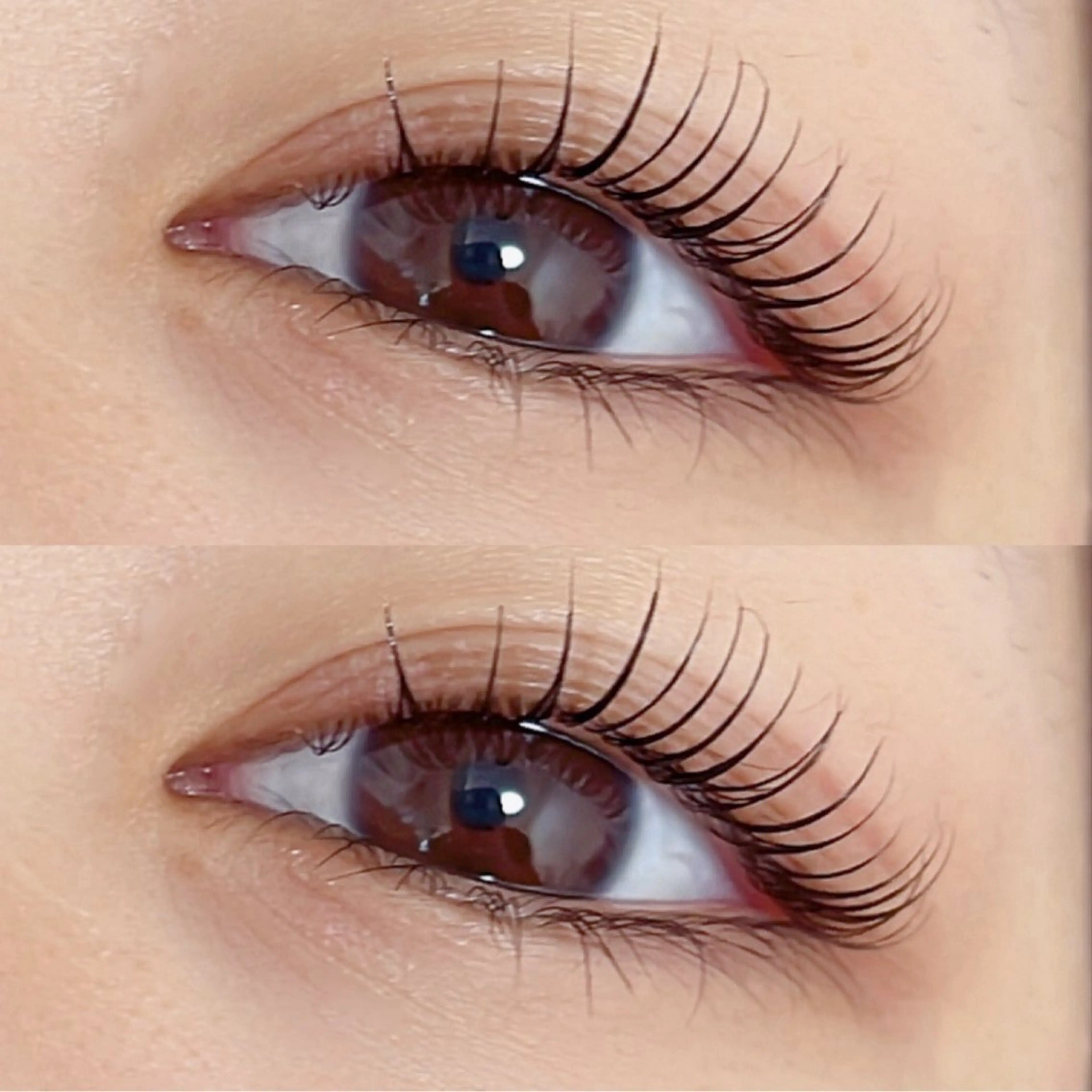 🔥《🦋当日限定🦋》ラッシュリフトorまつ毛パーマトリートメント付き（施術60分）の写真