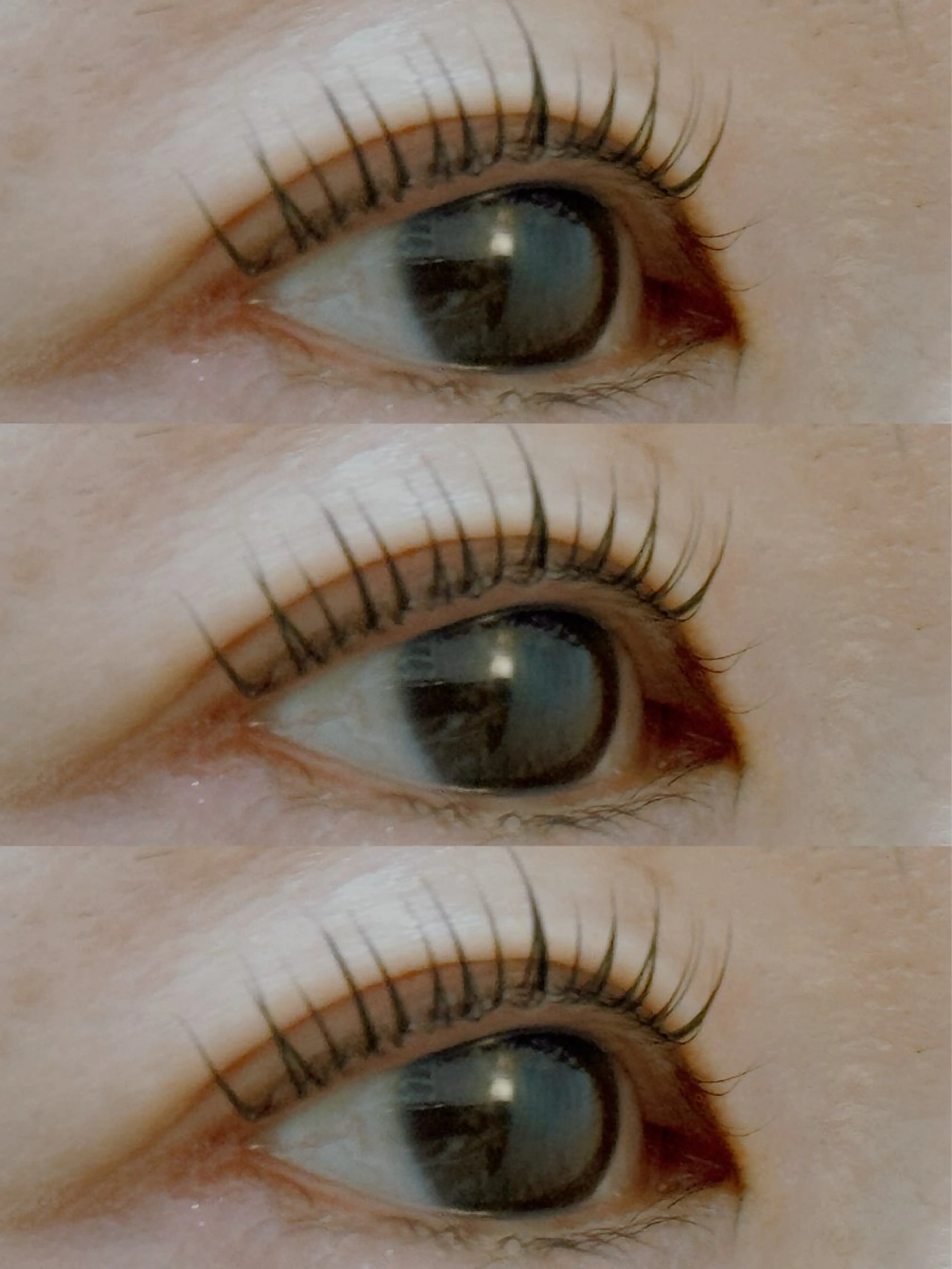 まつ毛パーマ+ケラチントリートメント付!の写真