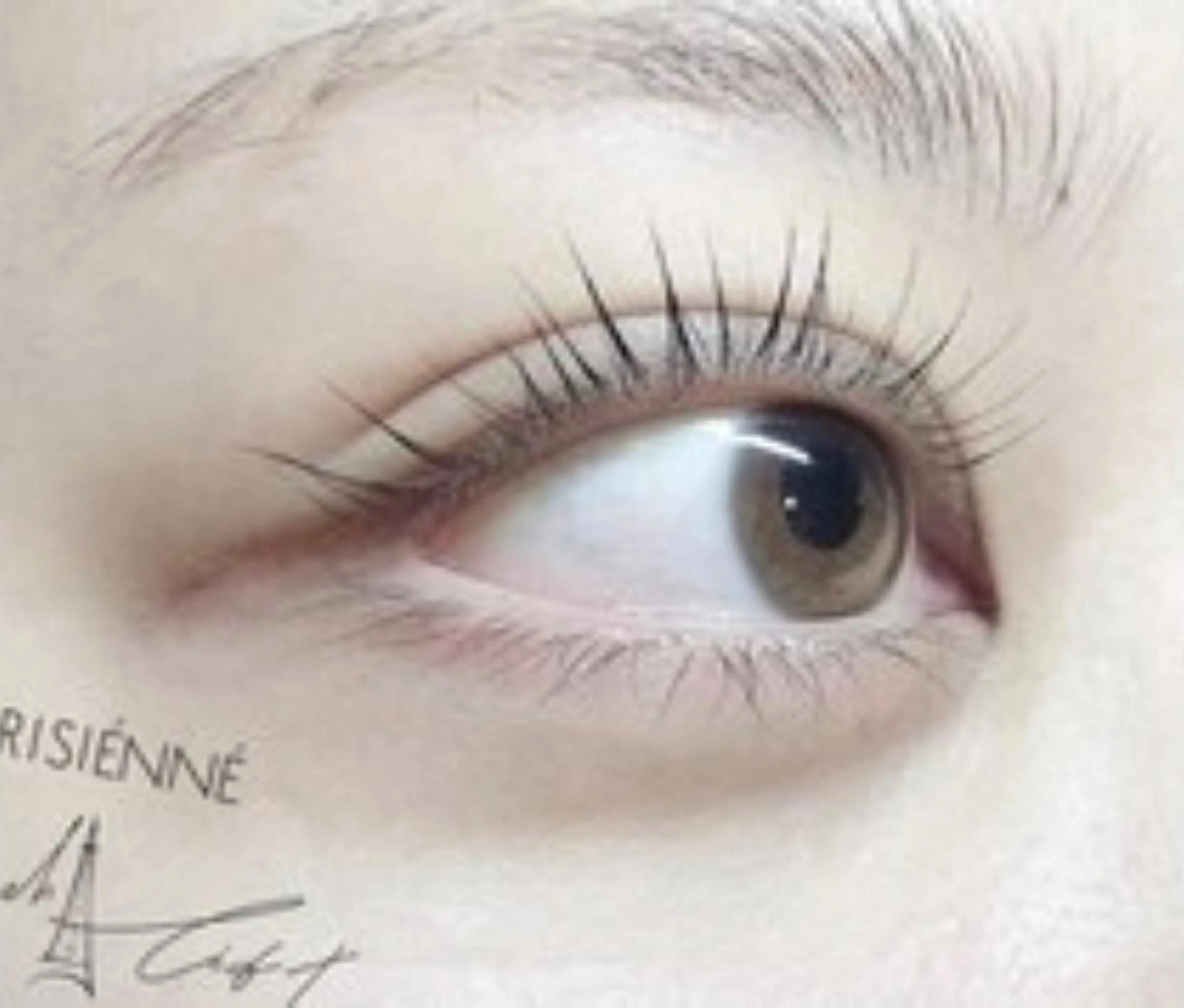 マツエク・マツパ パリジェンヌラッシュリフト 🪸似合わせ/お悩み 解決🪸しもだのマツエク・マツパデザイン