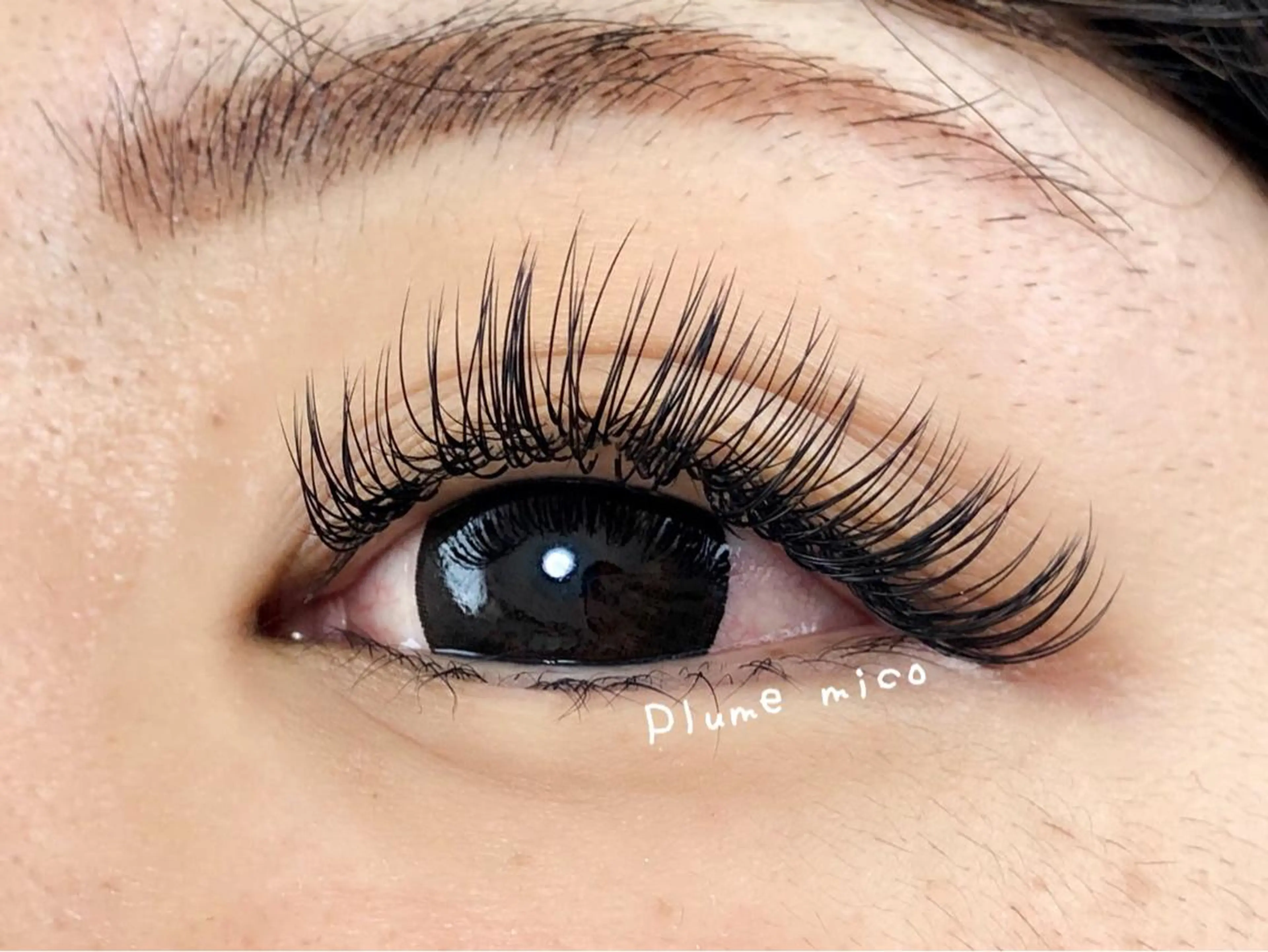 マツエク・マツパ 付け放題 Cカール マツエク Plume micoのマツエク・マツパデザイン