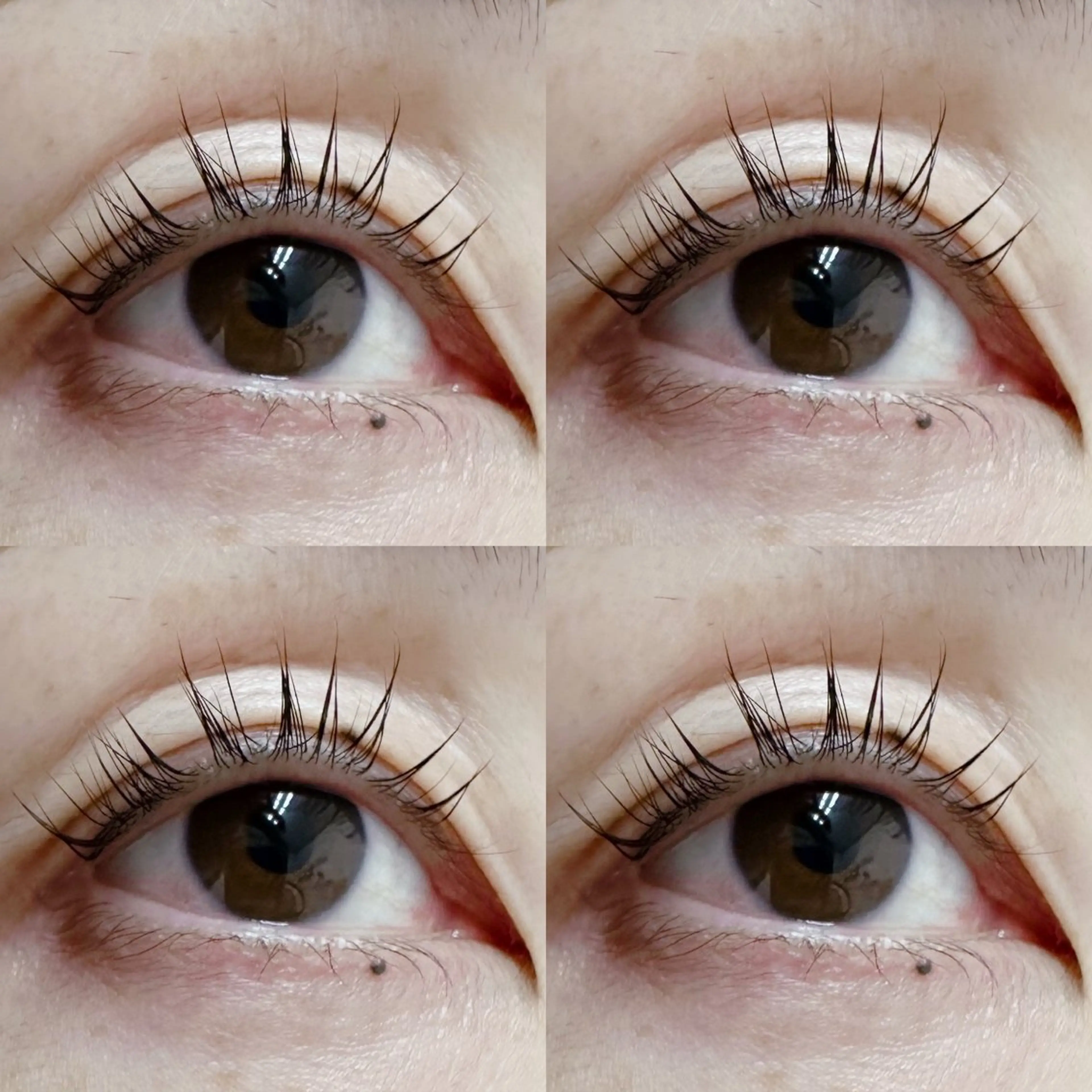 マツエク・マツパ マツパ Petila パティラ所属・Petila🐈‍⬛ Mayuriのマツエク・マツパデザイン