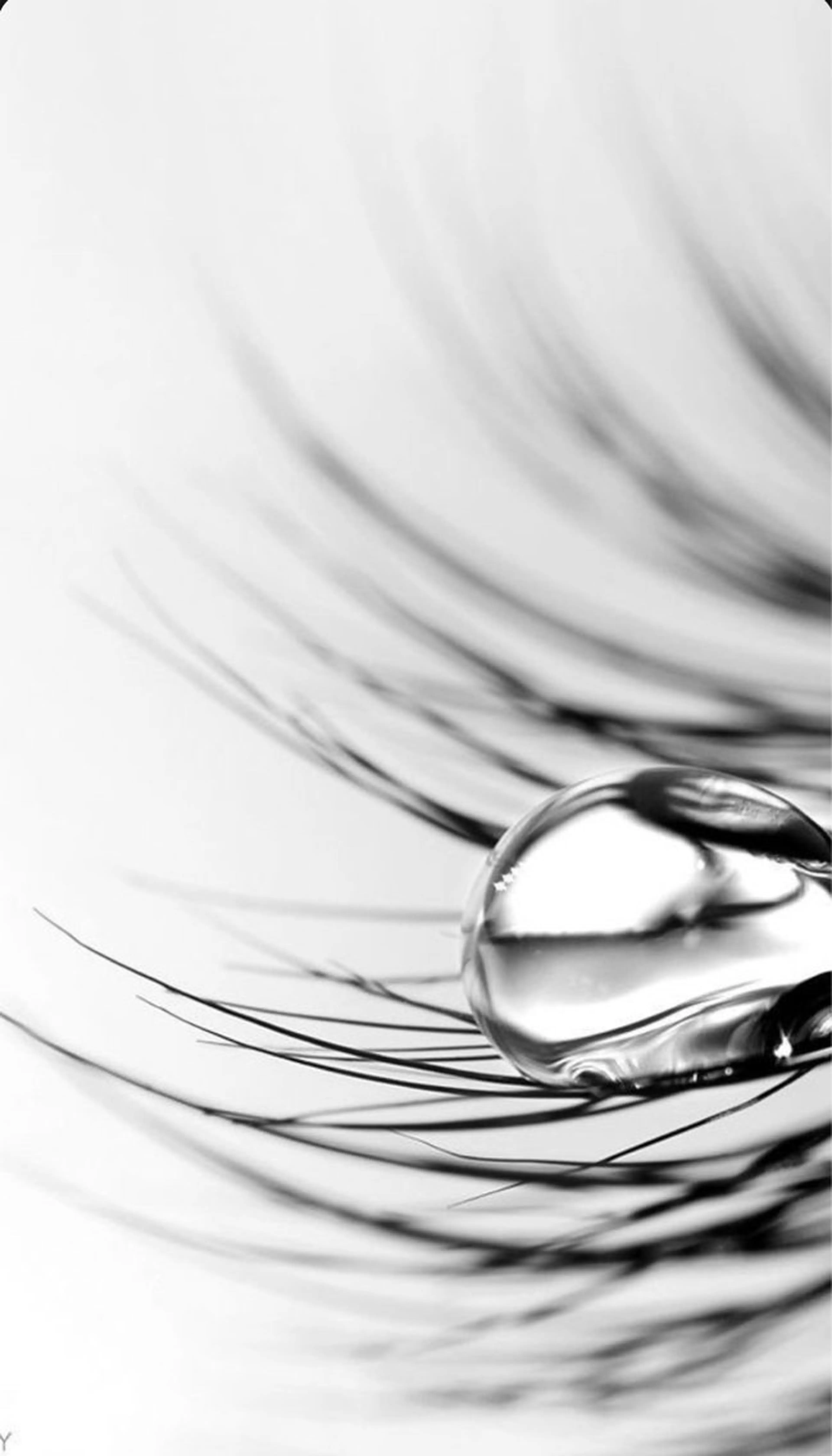 【マツエクオフ】¥3,300❣️オフのみ（施術なし）アイシャンプー、まつげトリートメント付🌱の写真