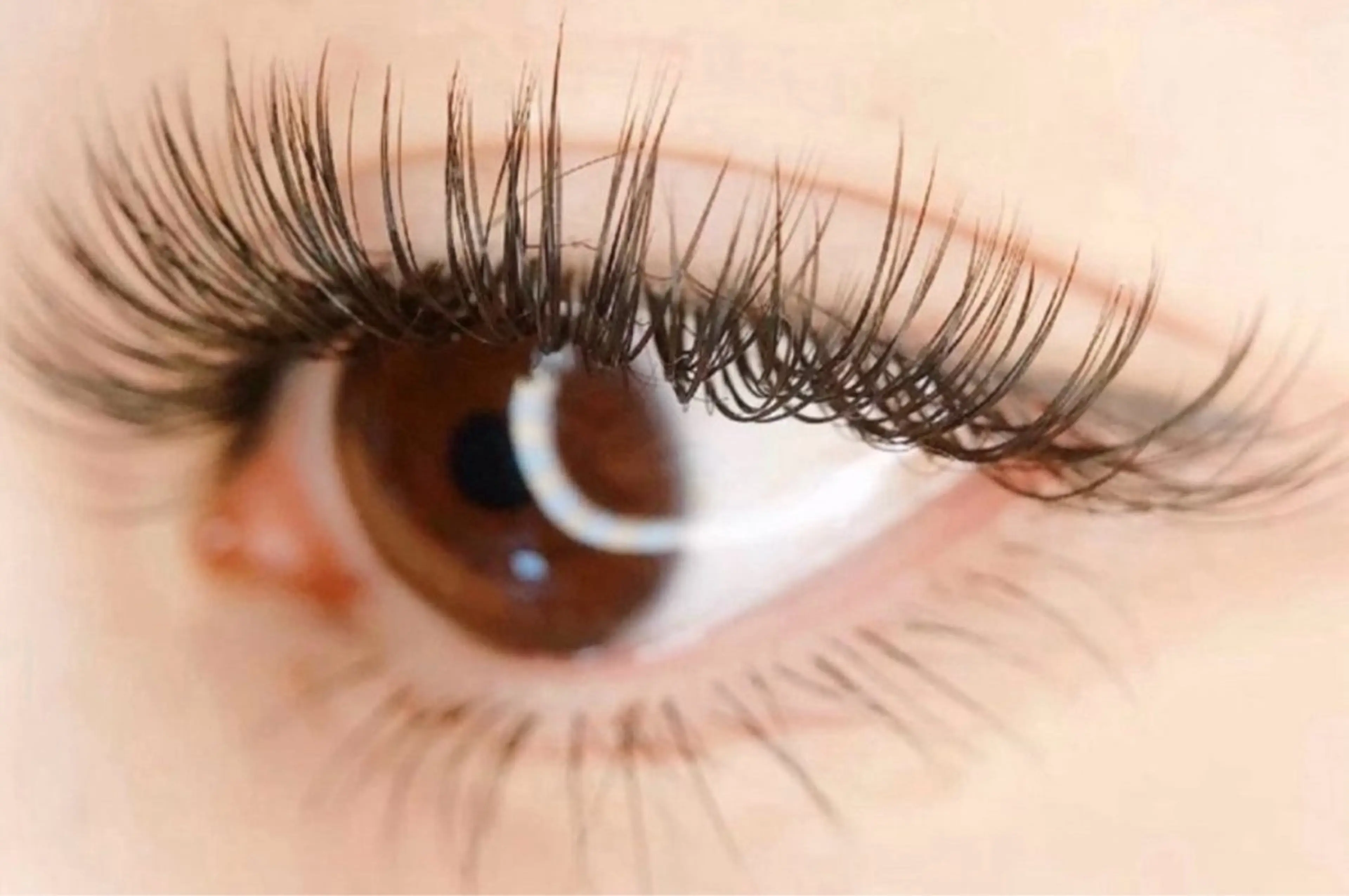 国産「驚異の持続力］魅力する濃さと持続性バインドロック✨60束 ❣️の写真