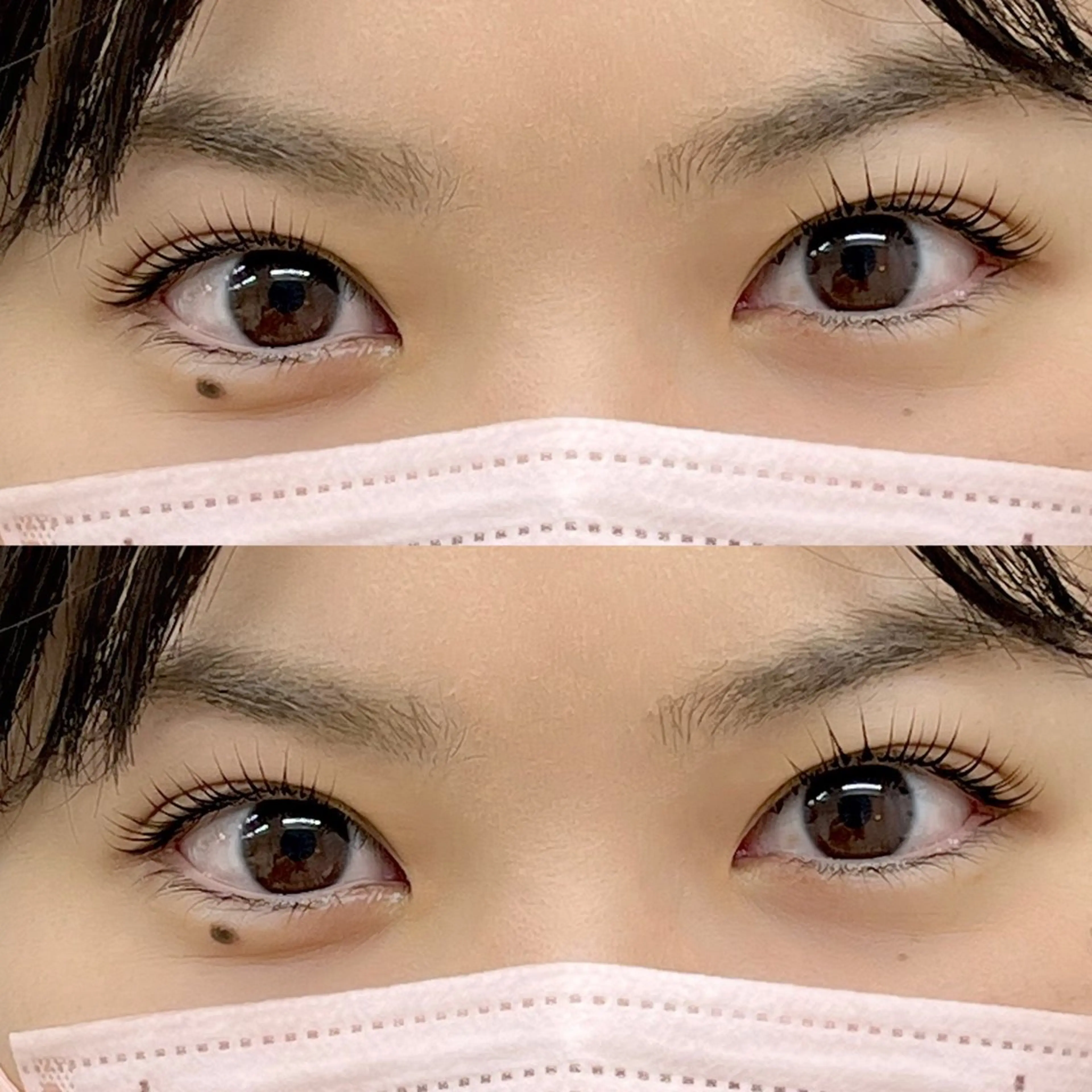 マツエク・マツパ Chihiro🕊️ 韓国パーマ/眉毛のマツエク・マツパデザイン