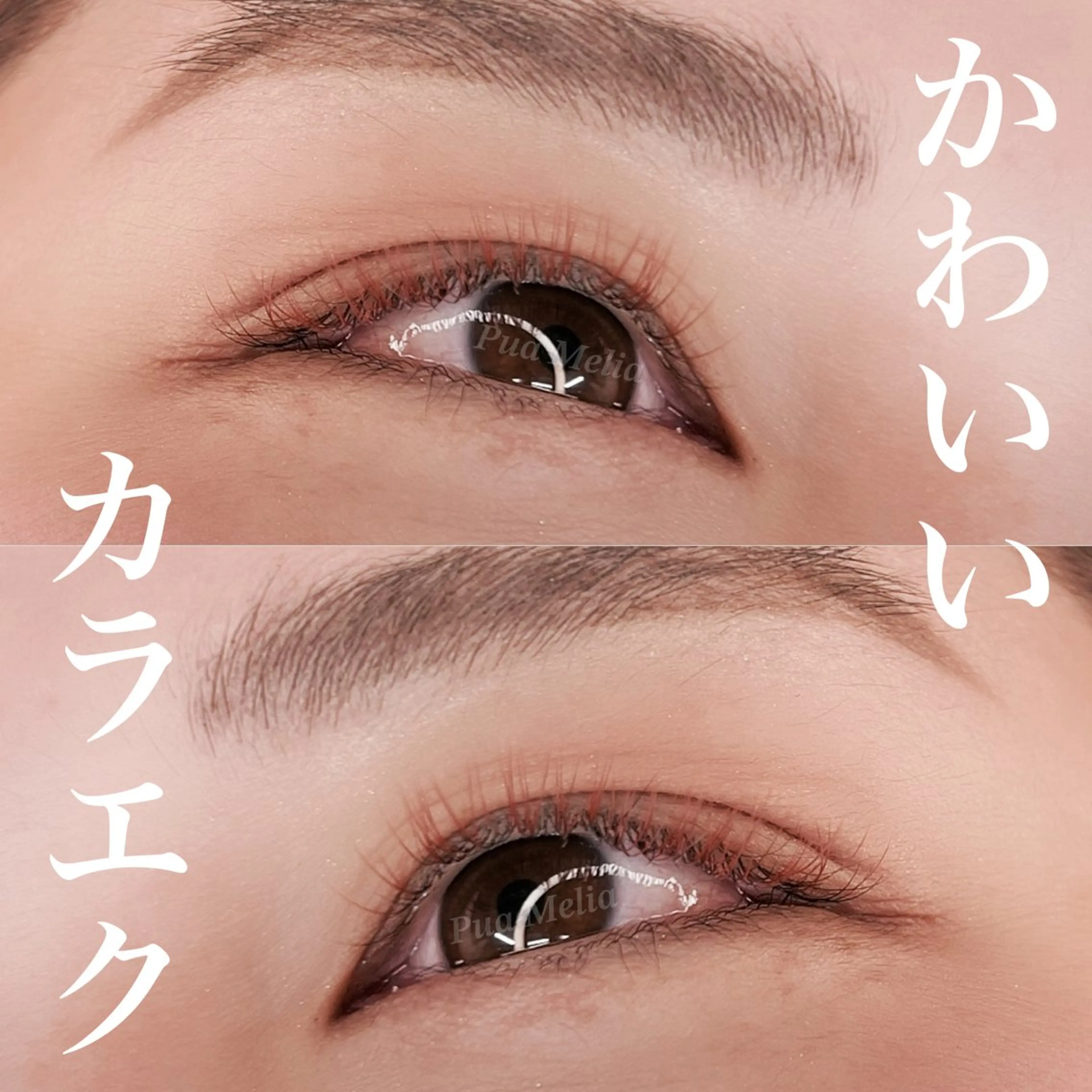 マツエク・マツパ Pua Meliaのマツエク・マツパデザイン