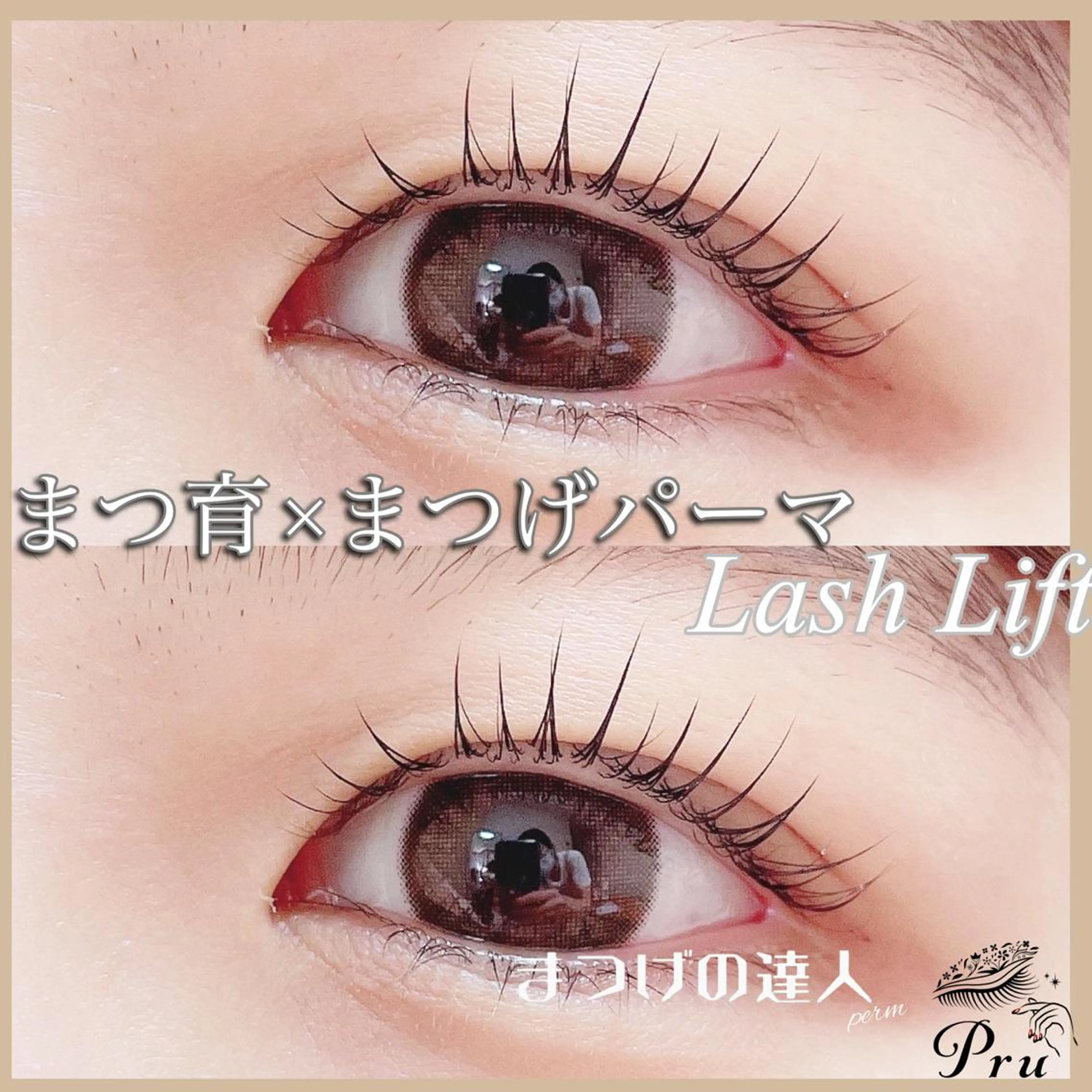 マツエク・マツパ まつげパーマ マツパ プル eyelashのマツエク・マツパデザイン