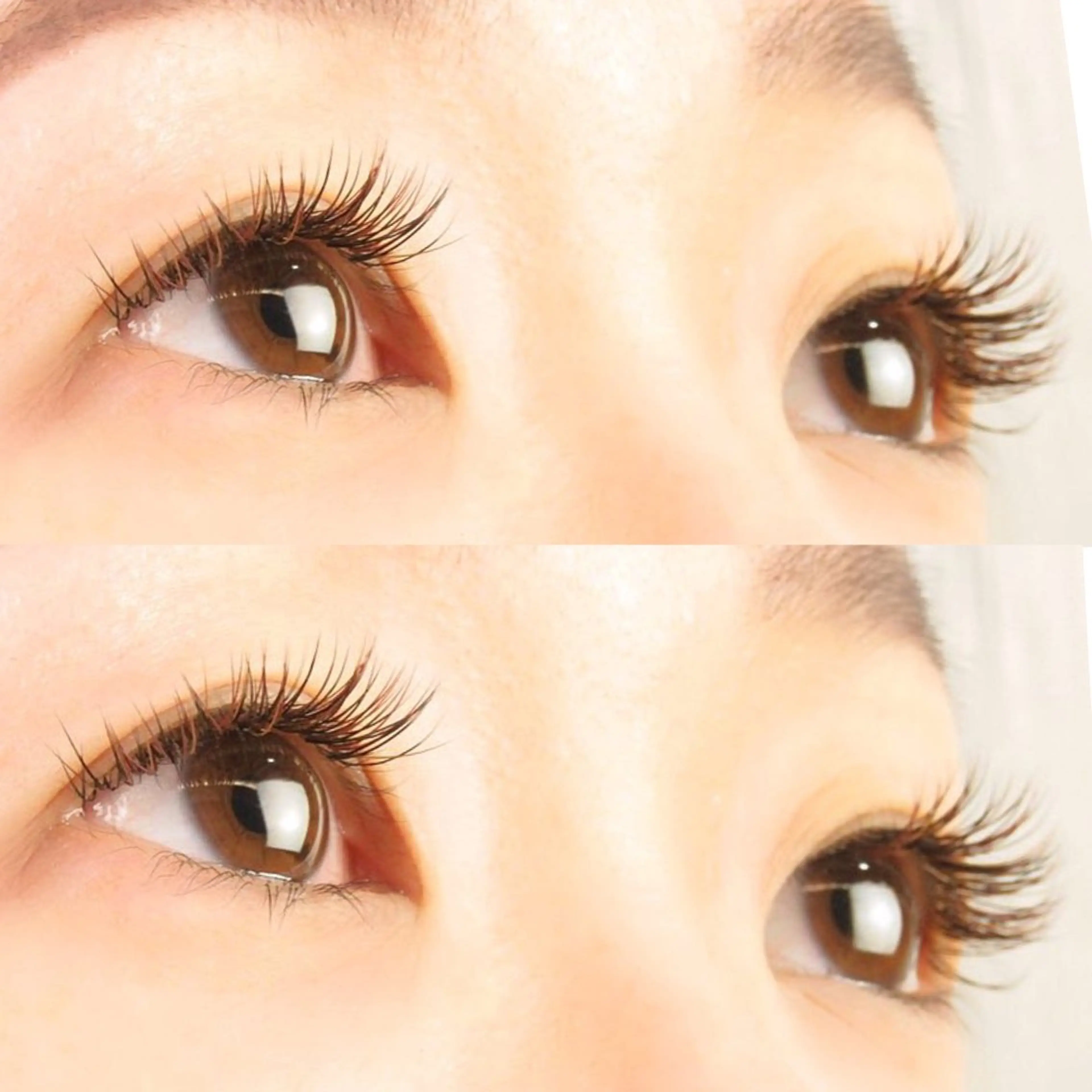 マツエク・マツパ アップワードラッシュ マツエク・マツパ FUKUMOTOのマツエク・マツパデザイン