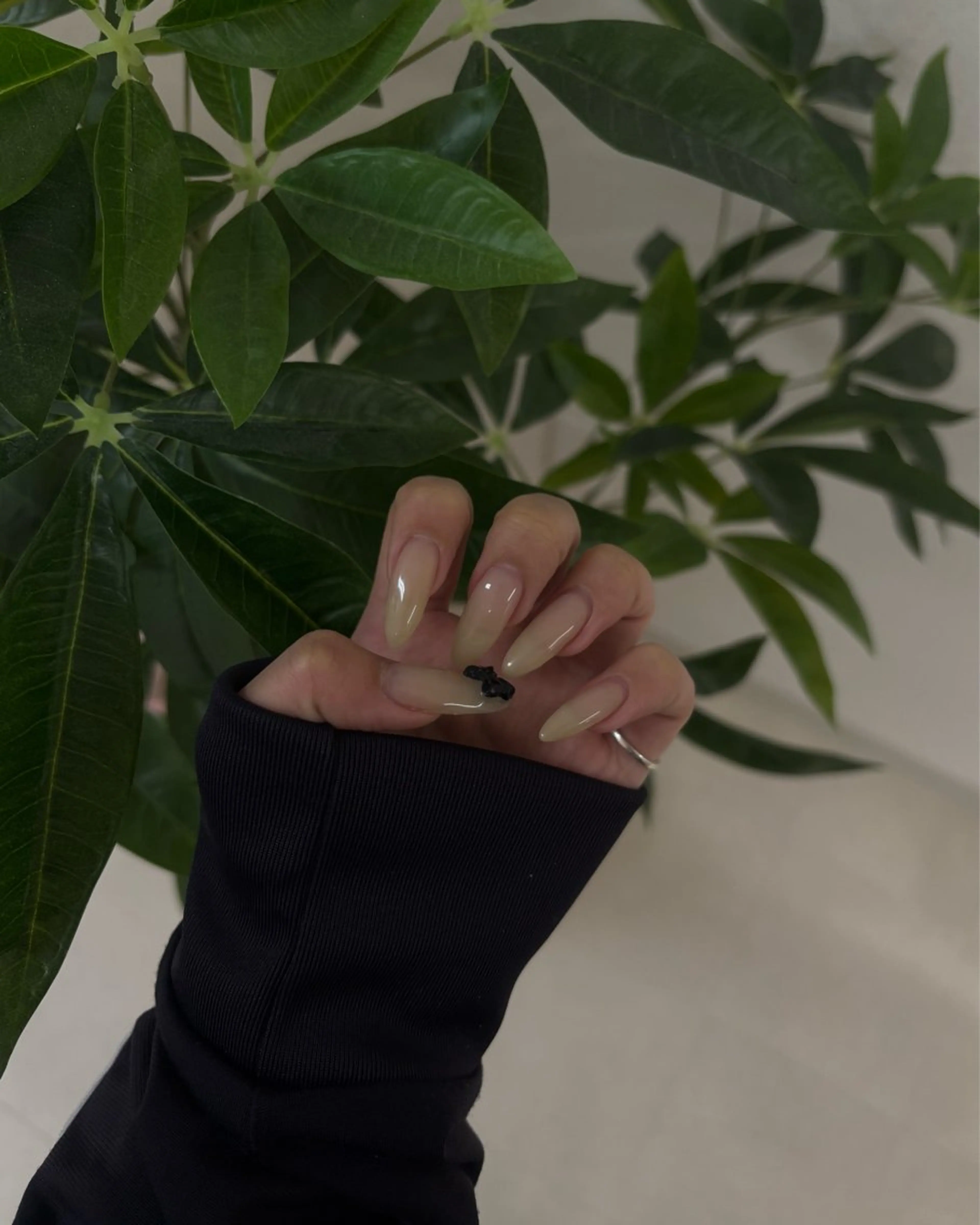 ネイル ハンドネイル shilon mikuのネイルデザイン