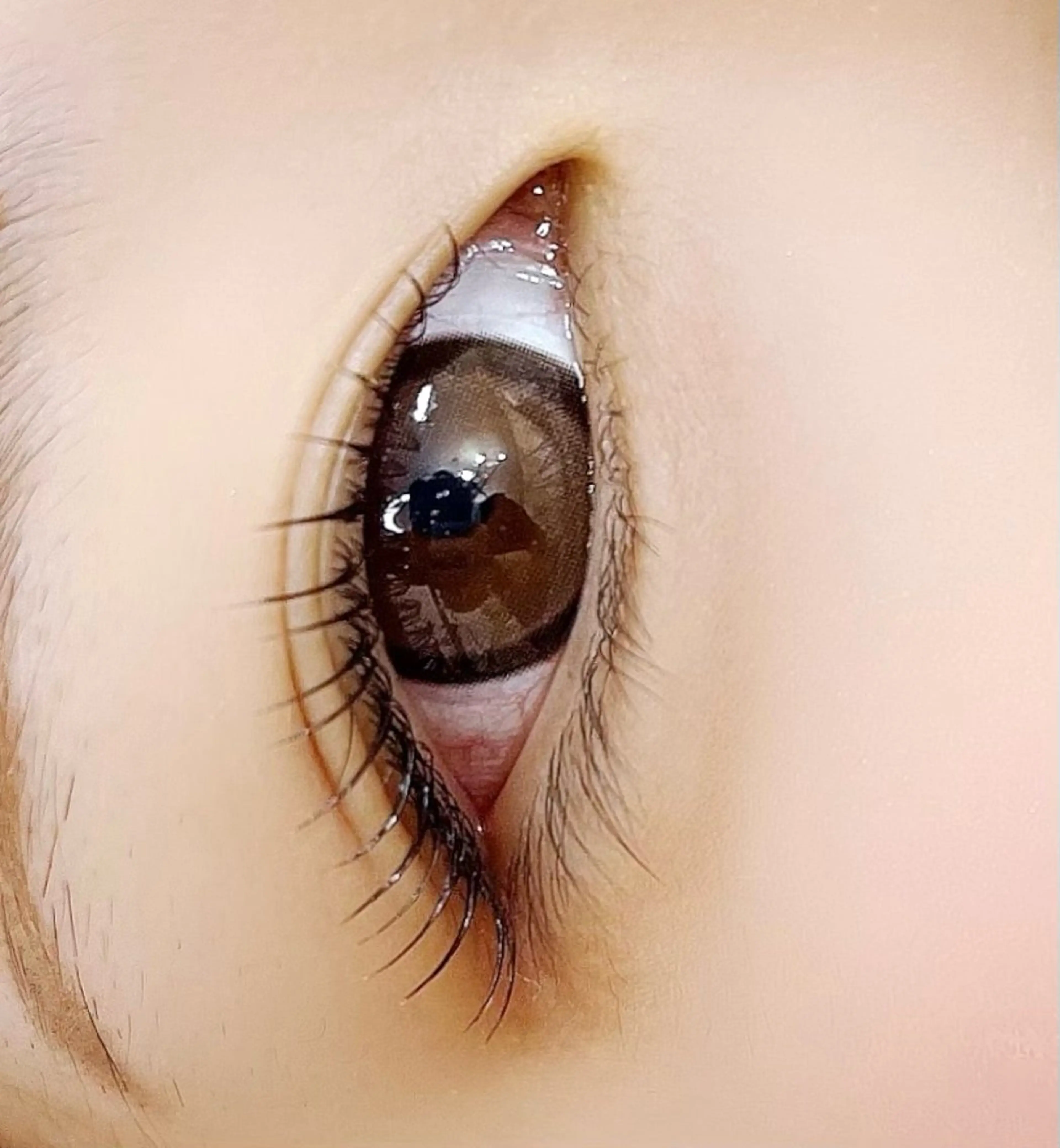 マツエク・マツパ un par unの眉毛・アイブロウイメージ