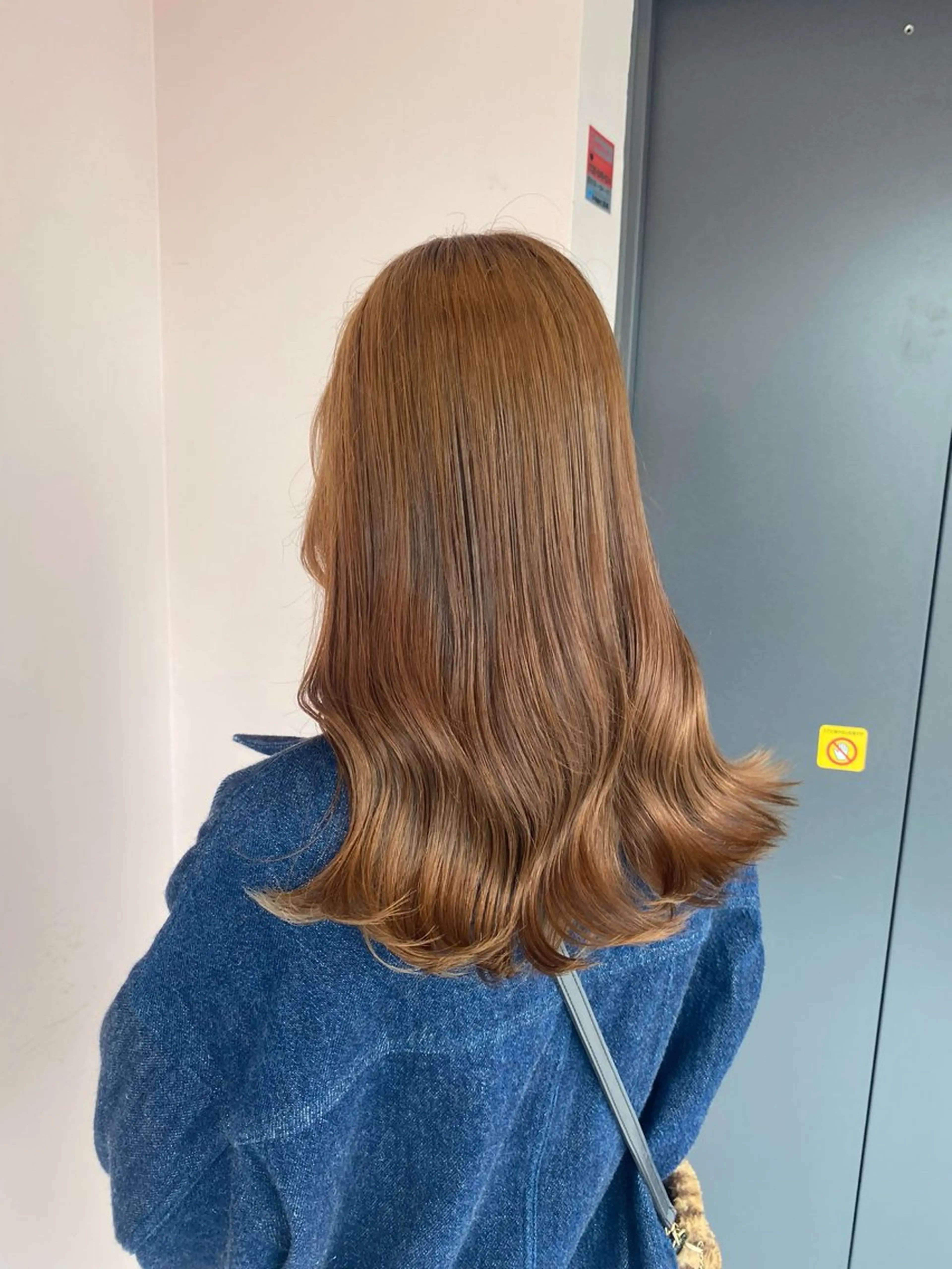 セミロング カラー ベージュカラー ブリーチ ダブルカラー ブリーチなしカラー ヘアカラー トリートメント ヘアセット 楓🦋韓国系レイヤー / 透明感カラー🤍のヘアスタイル