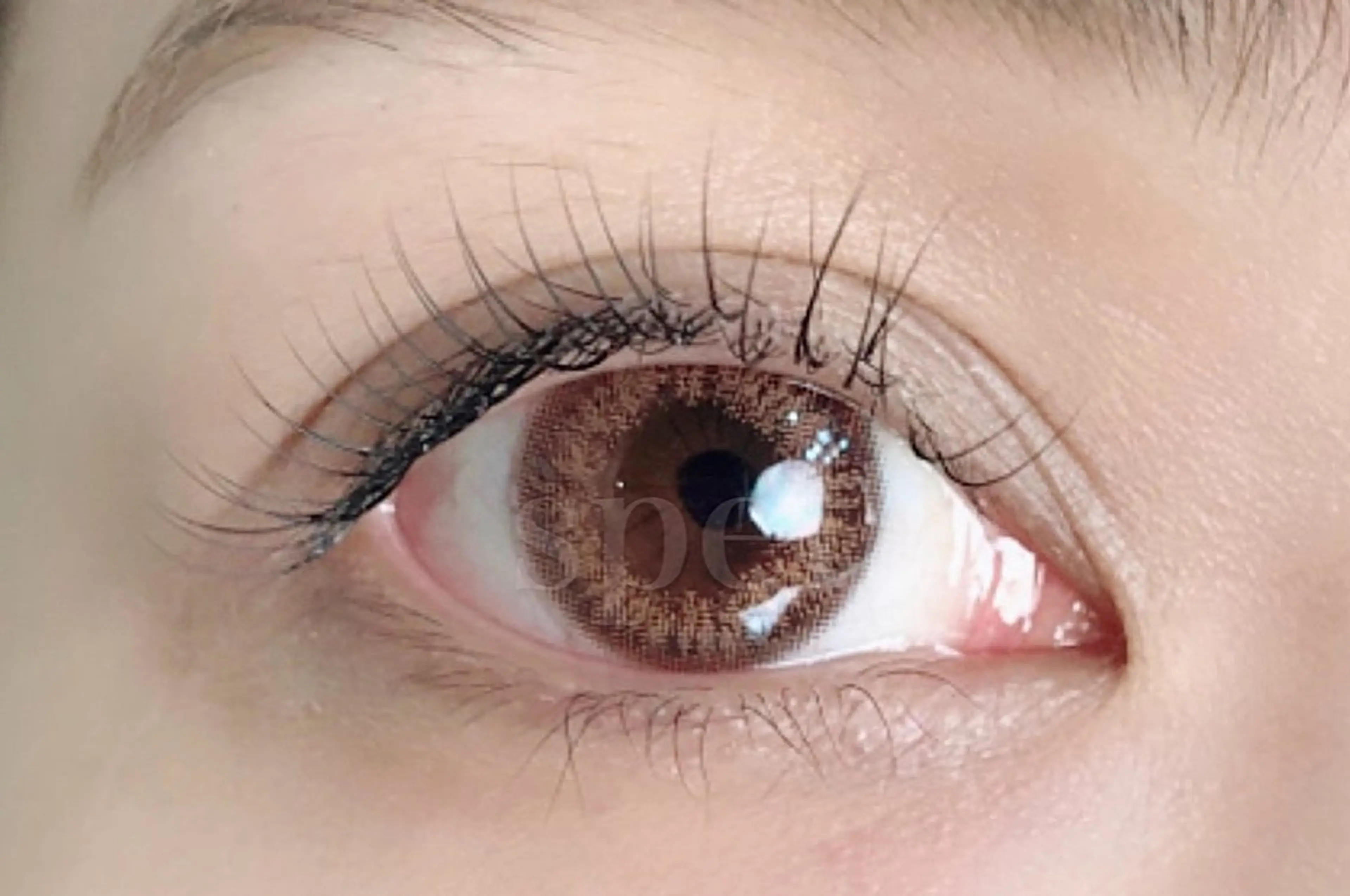 マツエク・マツパ spell eyelashのマツエク・マツパデザイン