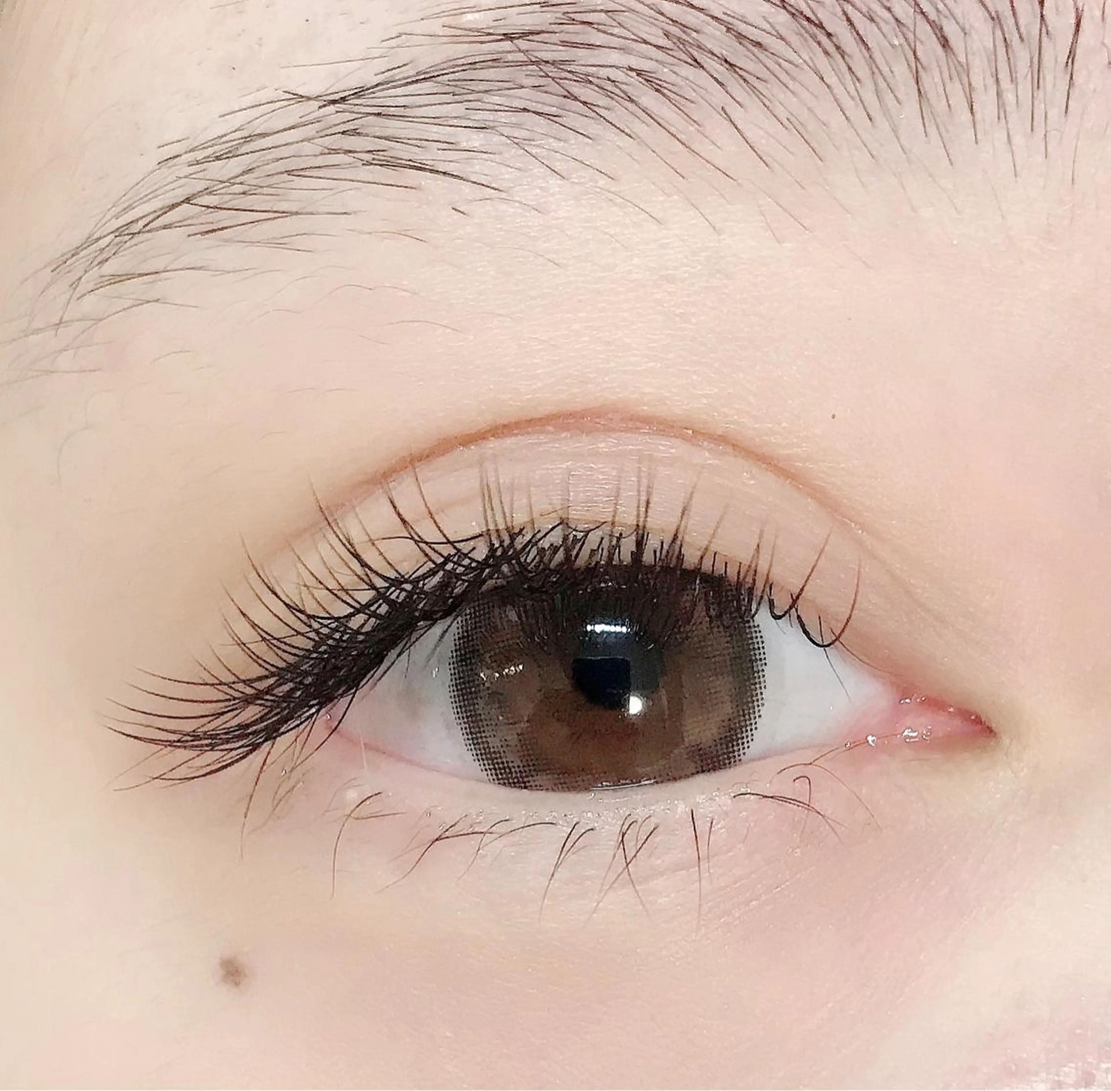 マツエク・マツパ フラットラッシュ plume eyelashのネイルデザイン