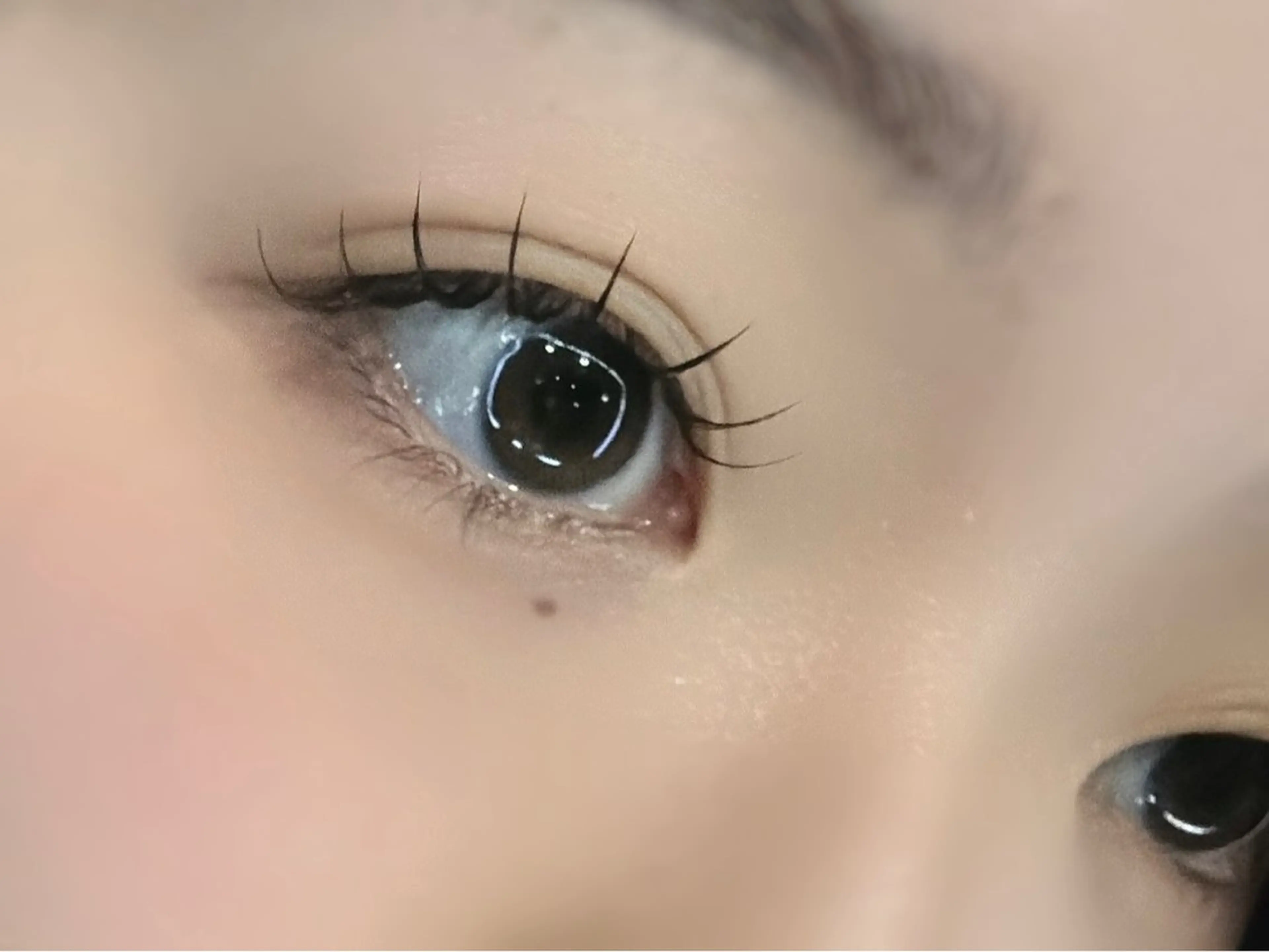 マツエク・マツパ 束感まつ毛 フラットラッシュ リスブラン AKARIのマツエク・マツパデザイン