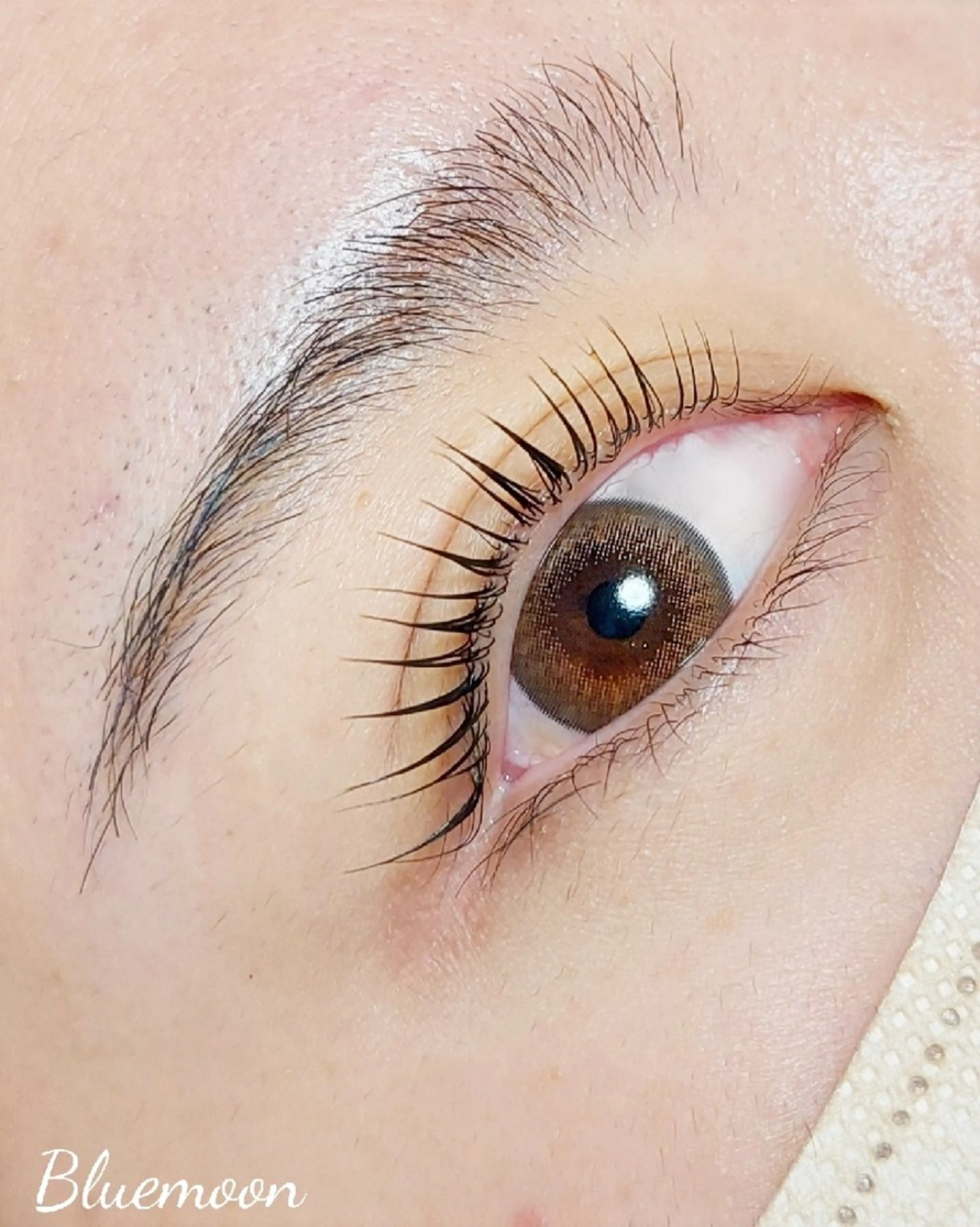 マツエク・マツパ パリジェンヌラッシュリフト Bluemoon所属・Blue moonのマツエク・マツパデザイン