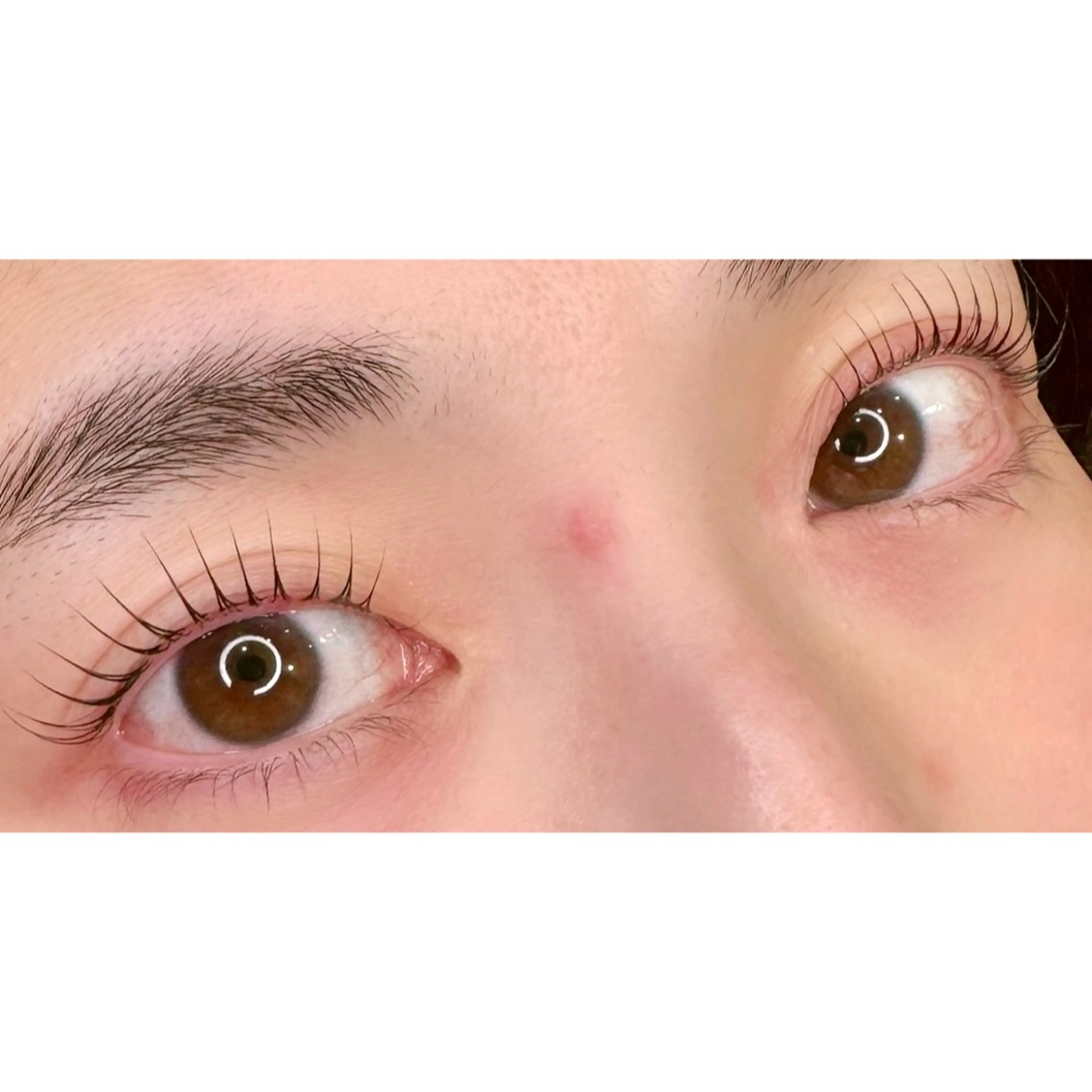 マツエク・マツパ 一重×まつ毛パーマ MyFairLady asukaのマツエク・マツパデザイン