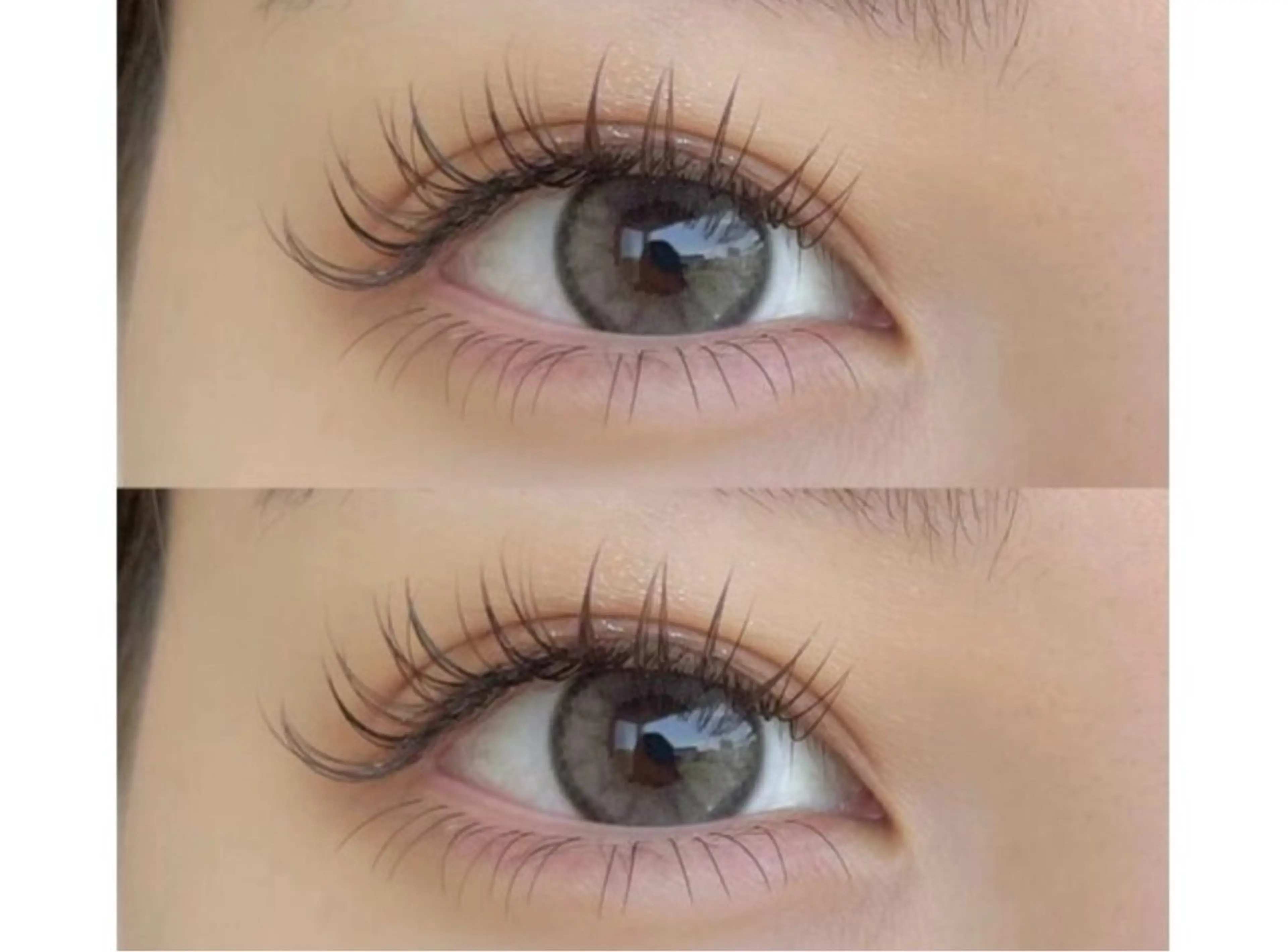 【上下まつ毛エクステ】上下フラットラッシュ付け放題✨◎オフ無料◎の写真