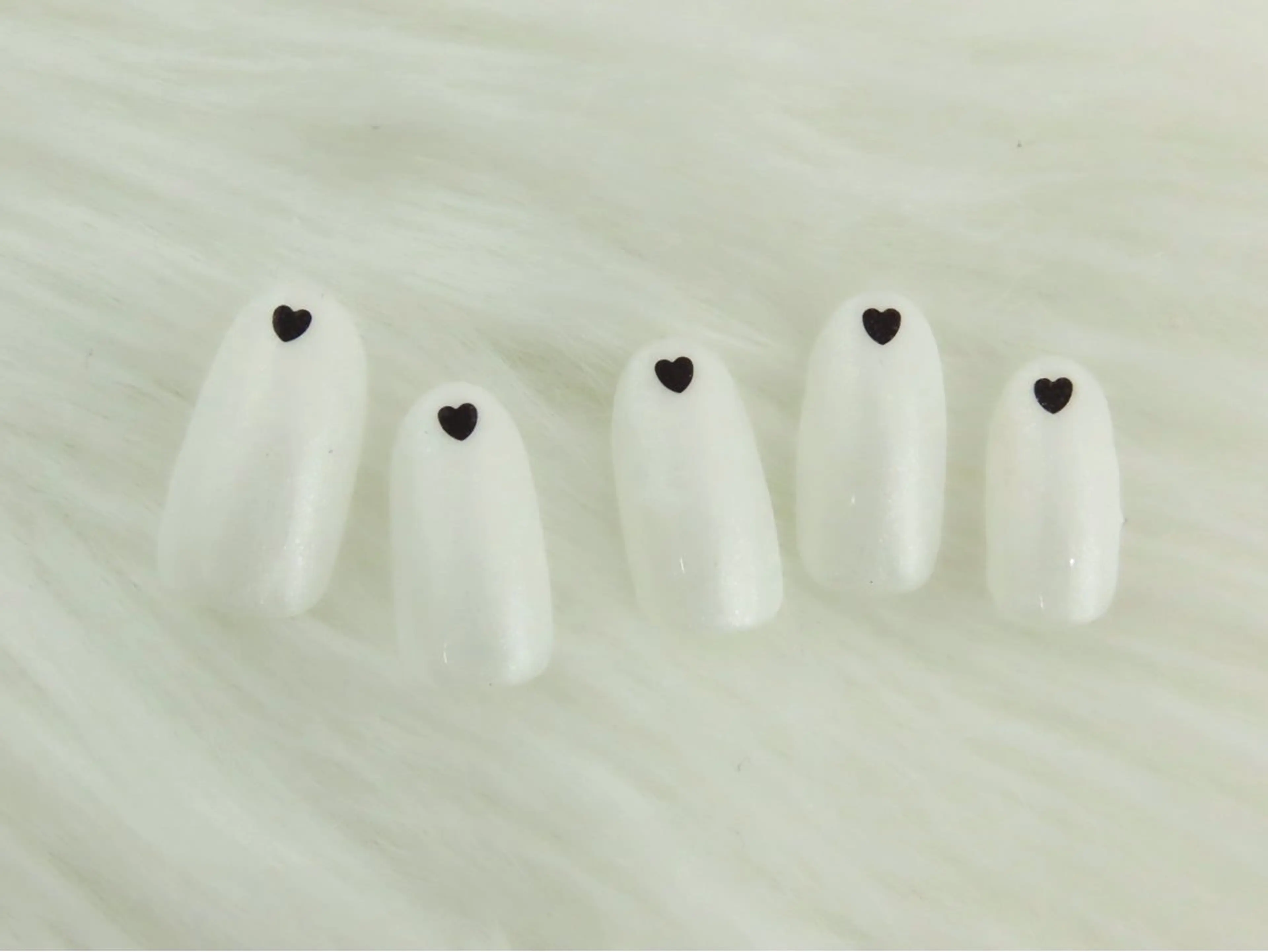 定額コースA (シンプル、オフィス) オフ込み5390の写真