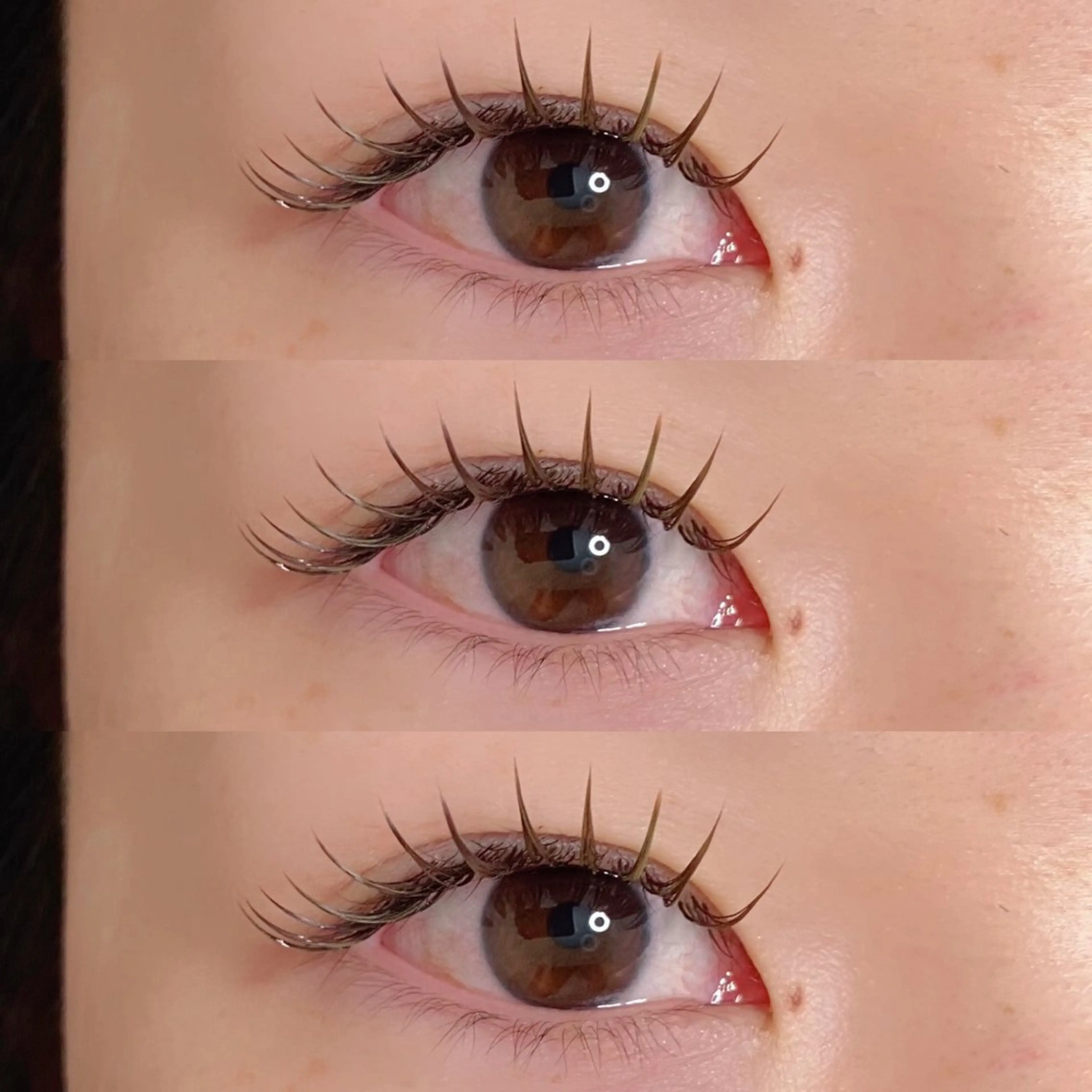 マツエク・マツパ カラーマツエク 24 -niji-のマツエク・マツパデザイン