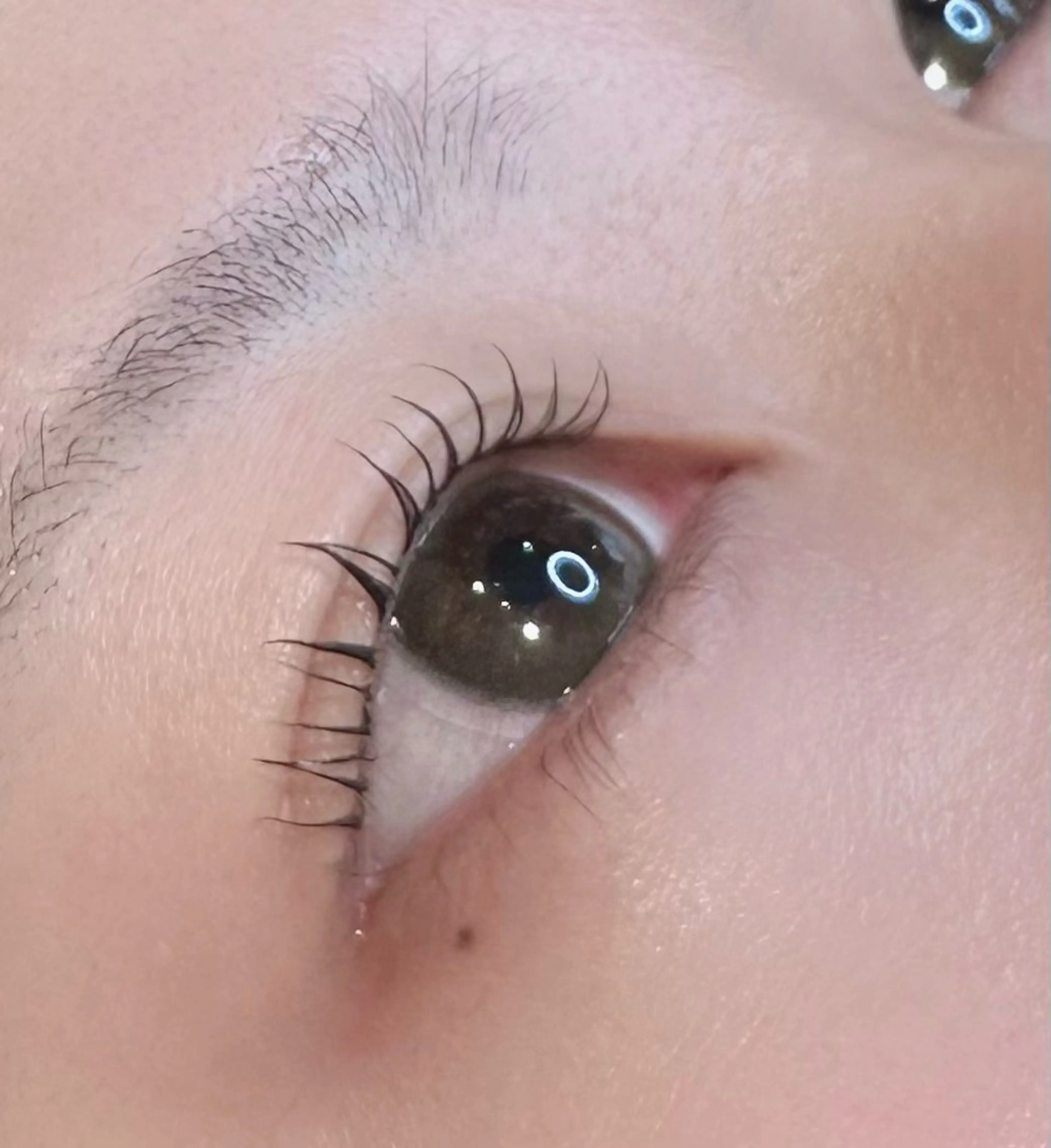 マツエク・マツパ マツパ niche  eye Natsumiのマツエク・マツパデザイン