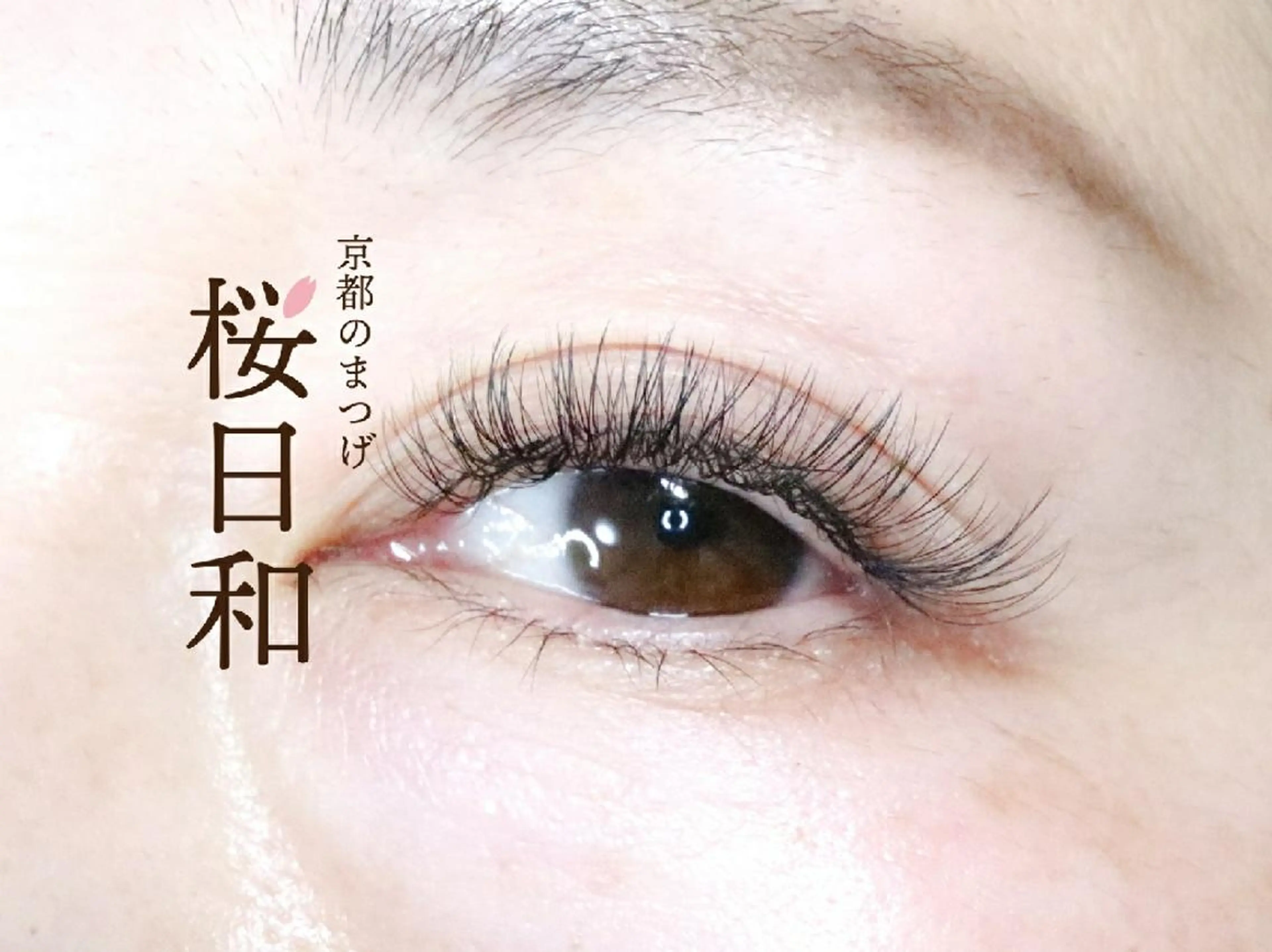 マツエク・マツパ フラットラッシュ まつげパーマ 一重×まつ毛パーマ ボリュームラッシュ 京都のまつげ桜日和 小島美桜のマツエク・マツパデザイン