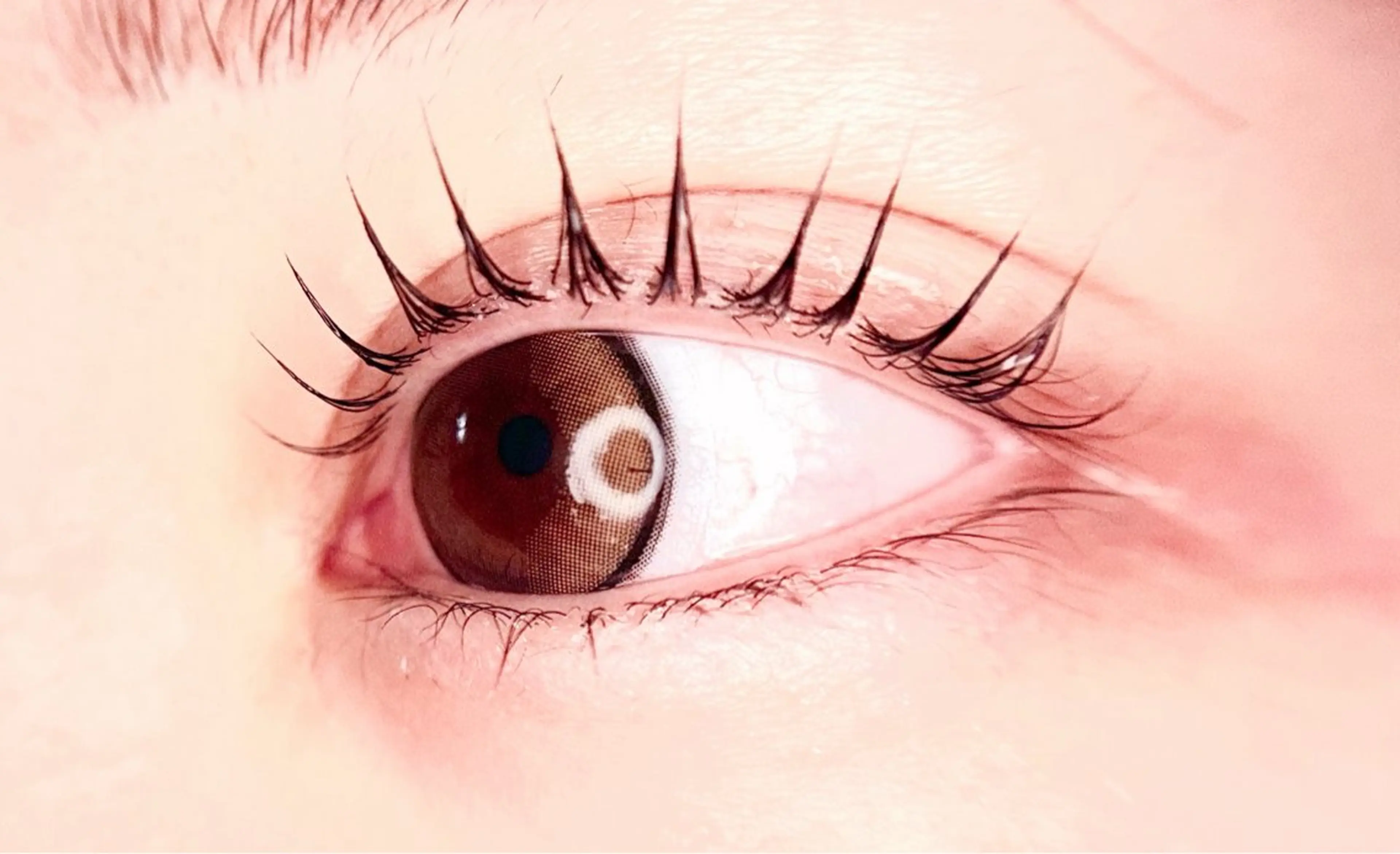 マツエク・マツパ パリジェンヌラッシュリフト マツパ Lash Lift WAVE🩵の眉毛・アイブロウイメージ