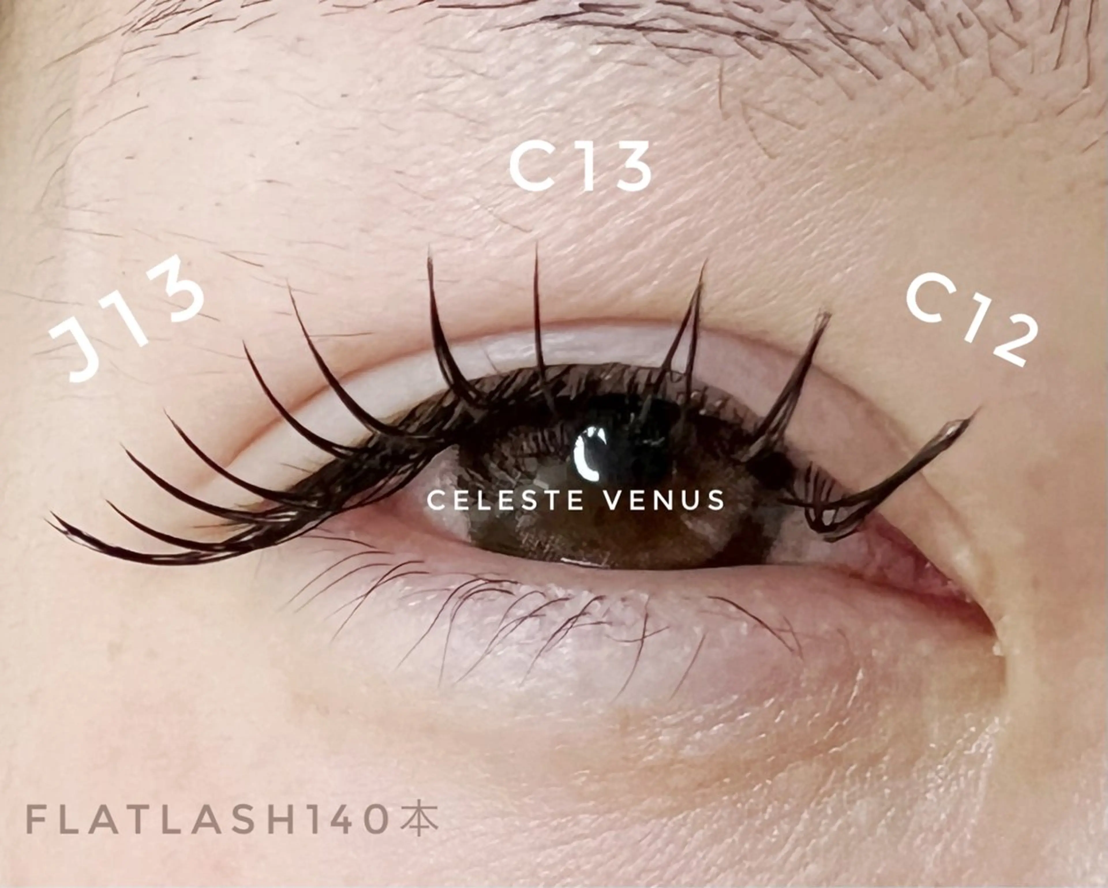 マツエク・マツパ フラットラッシュ マツエク 🧸Celeste Venusのマツエク・マツパデザイン