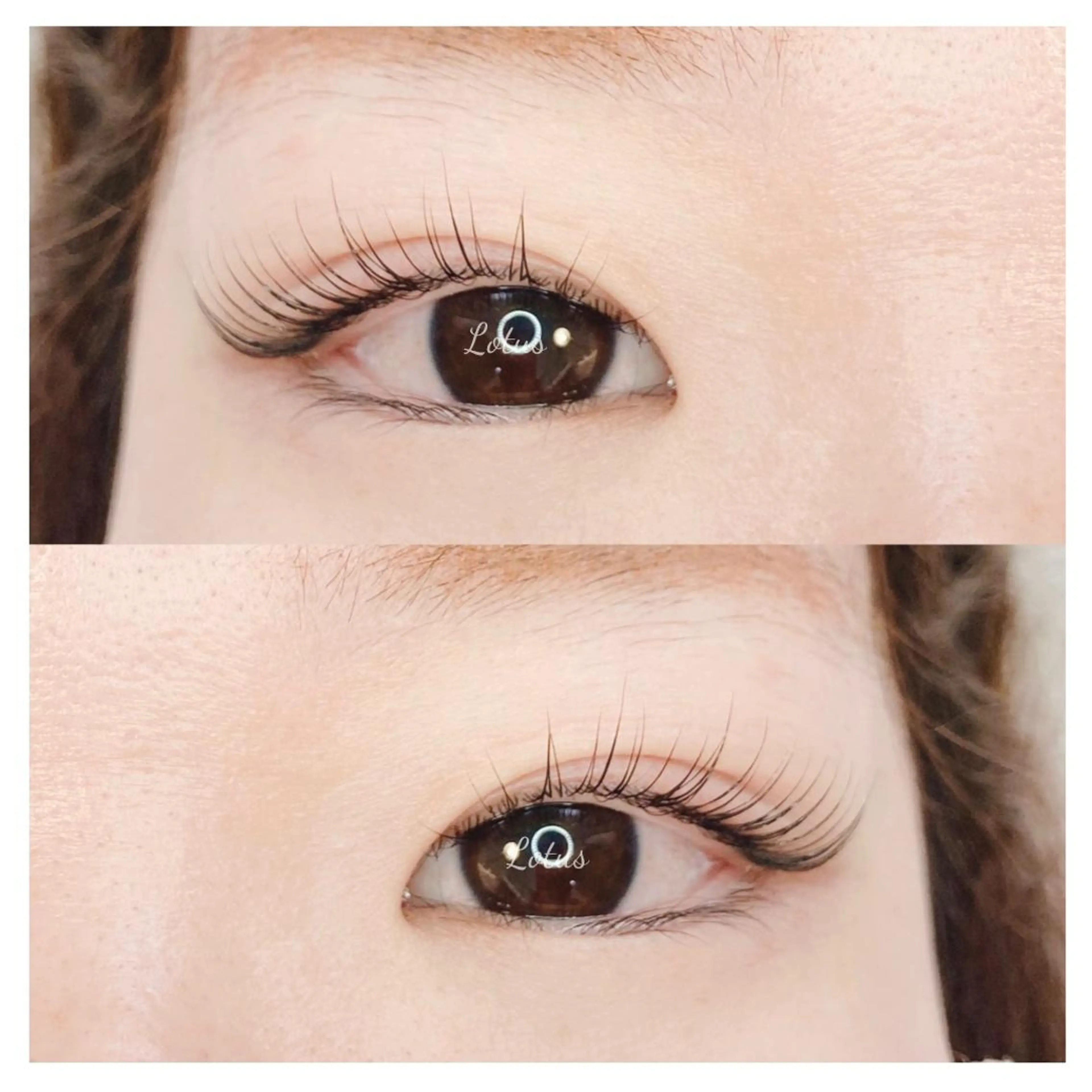 マツエク・マツパ マツパ Lotus ロータスのマツエク・マツパデザイン