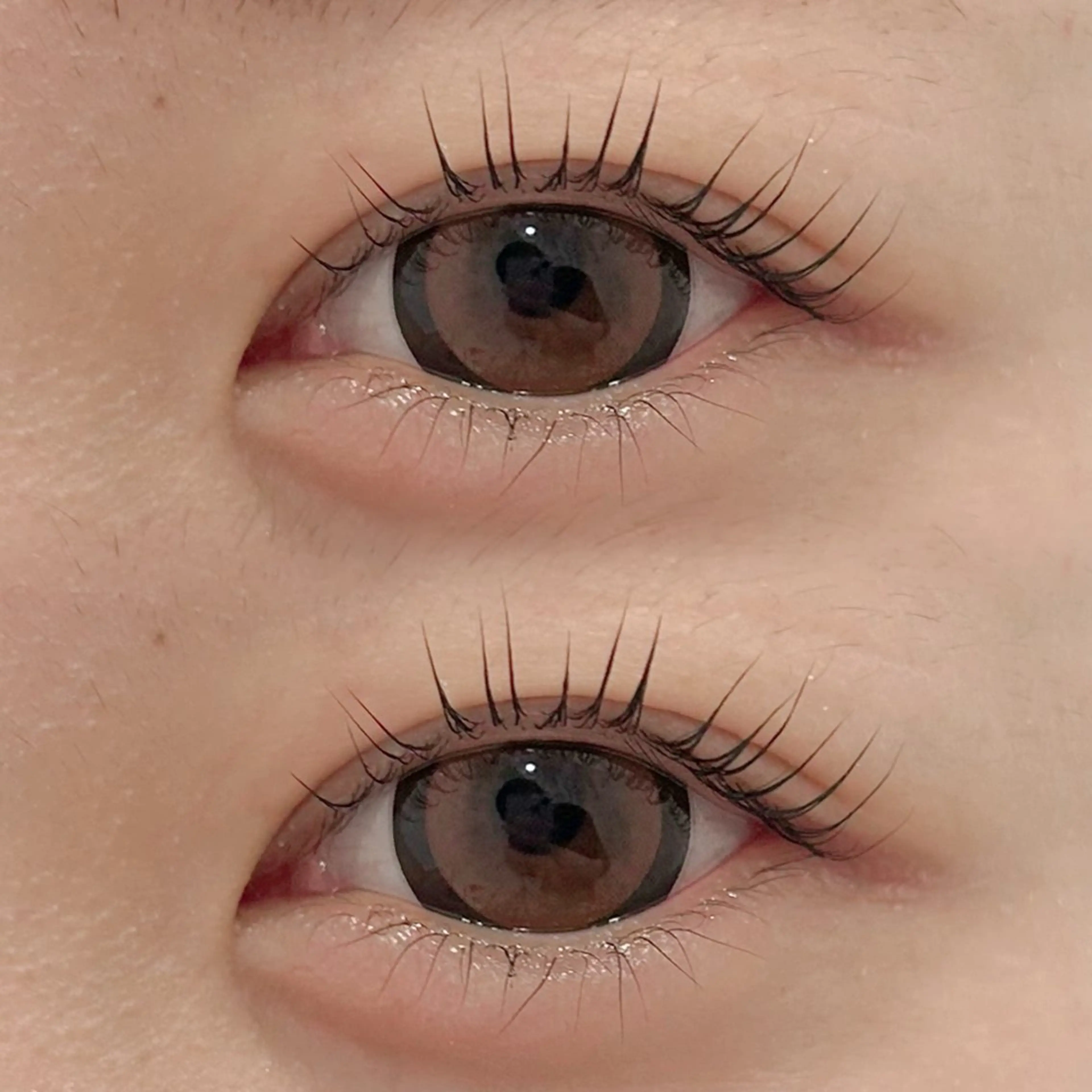 マツエク・マツパ Lily 船橋 秋本のマツエク・マツパデザイン