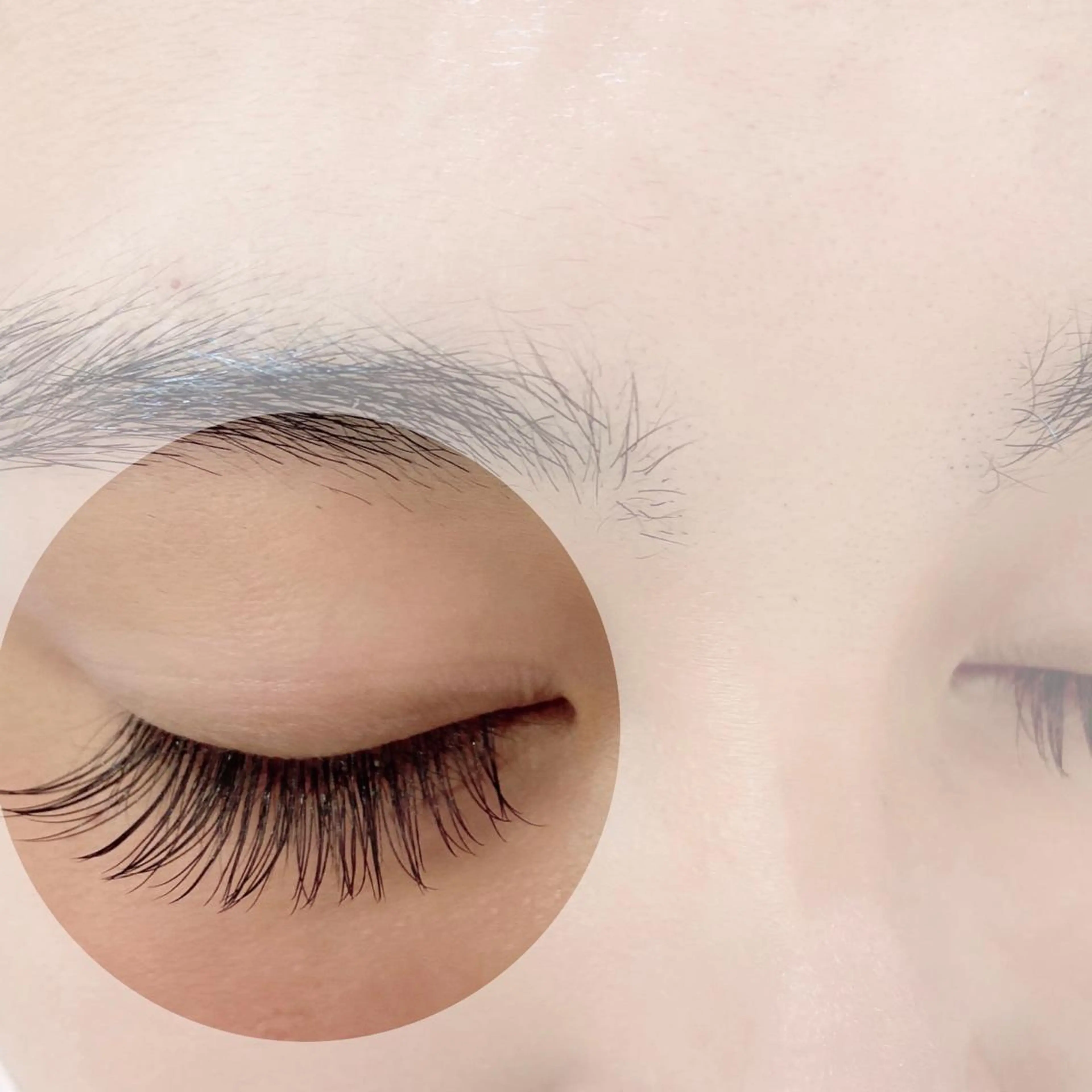 マツエク・マツパ カラーマツエク フラットラッシュ 韓国風マツエク パリジェンヌラッシュリフト まつげパーマ barro.1995所属・オーダーメイドまつげ ＆まゆげ.RIKAのマツエク・マツパデザイン