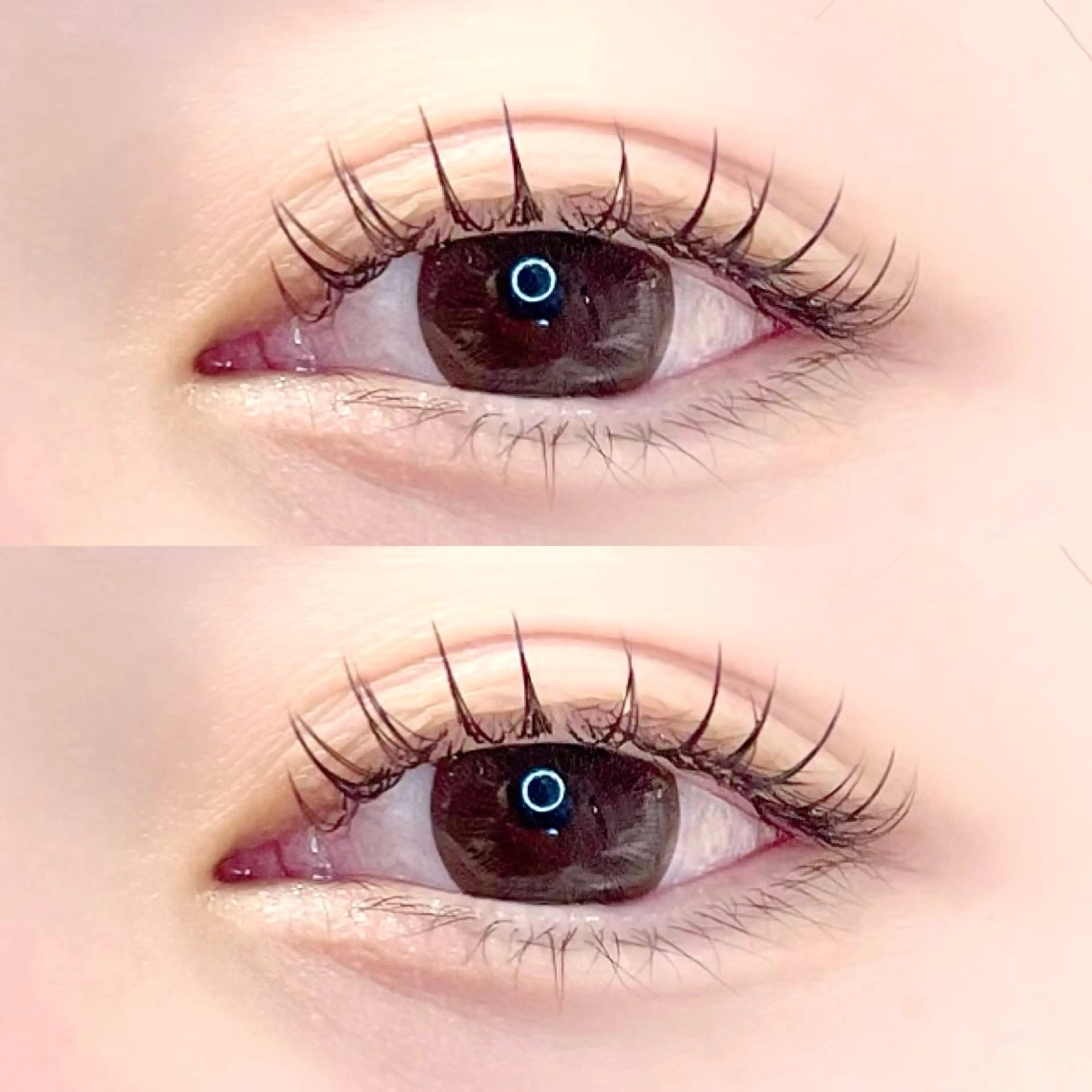 マツエク・マツパ フラットラッシュ GO TODAY 表参道Luce店所属・ラッシュリフト / eri🎀のマツエク・マツパデザイン