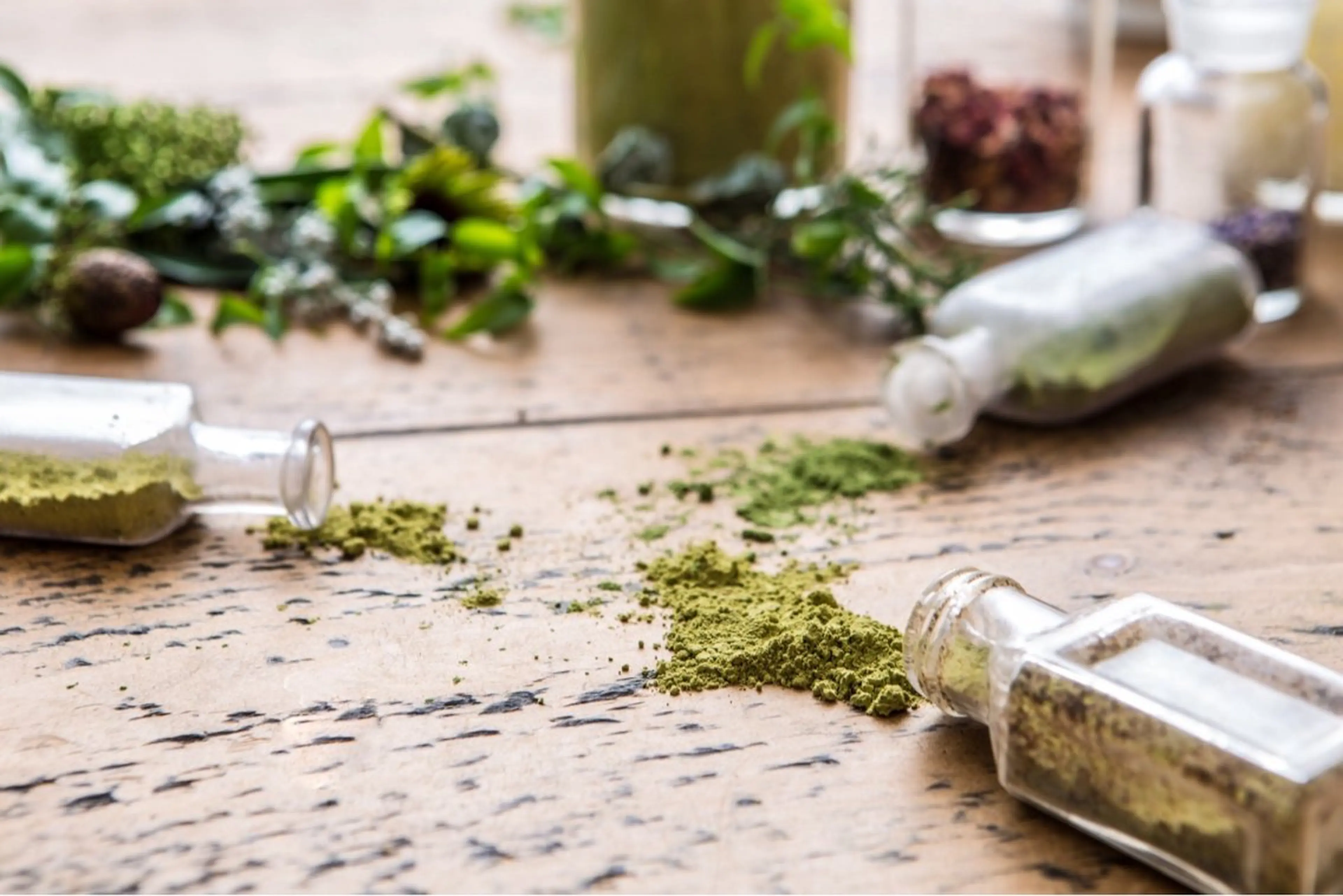 【ヘナリストの脱白髪染めフルコース】頭皮改善＆髪の悩みを解消し艶髪へ✨ リコヘナカラー＋カット＋トリートメント🌿の写真