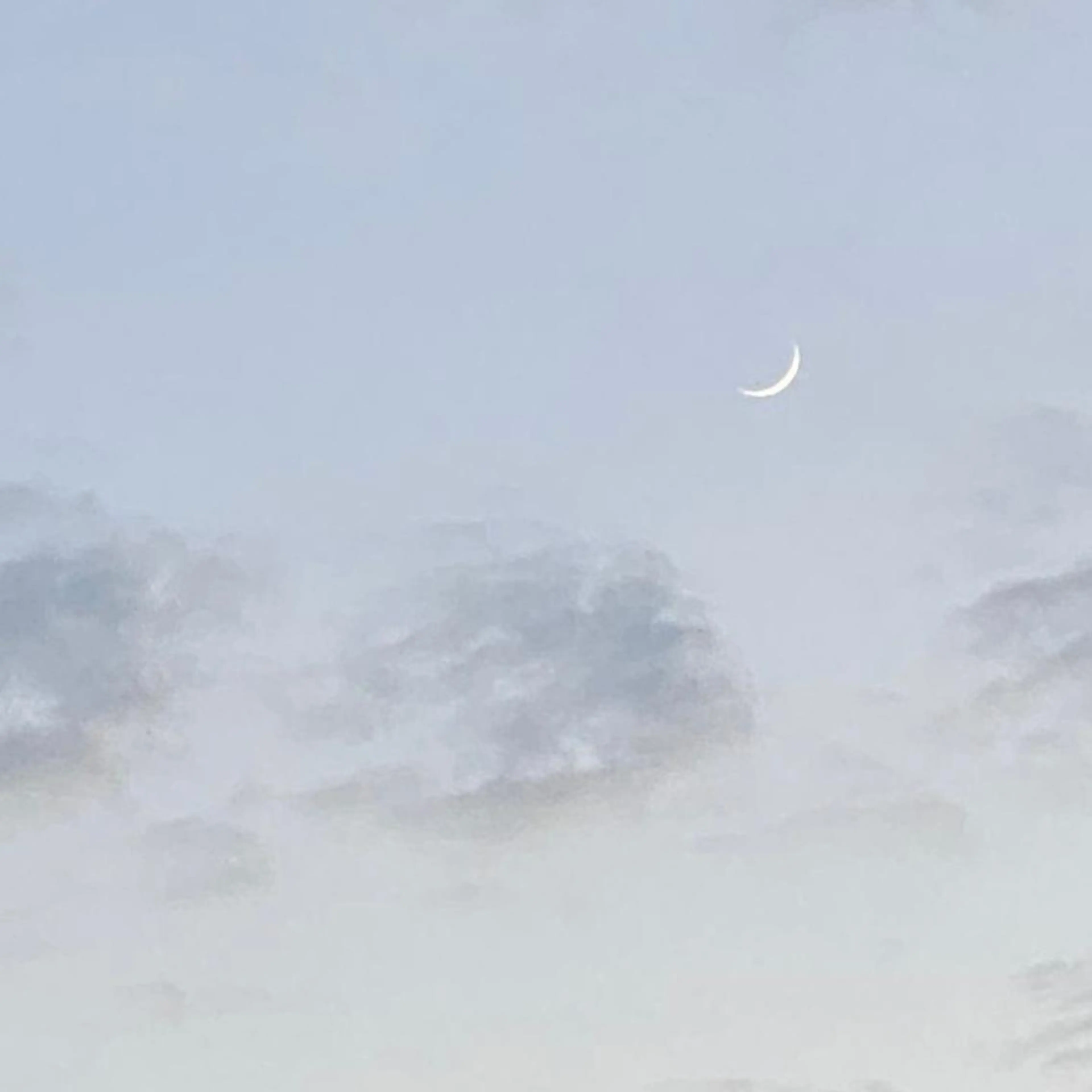 パラあり！フィルイン 美フォルムのネイルデザイン