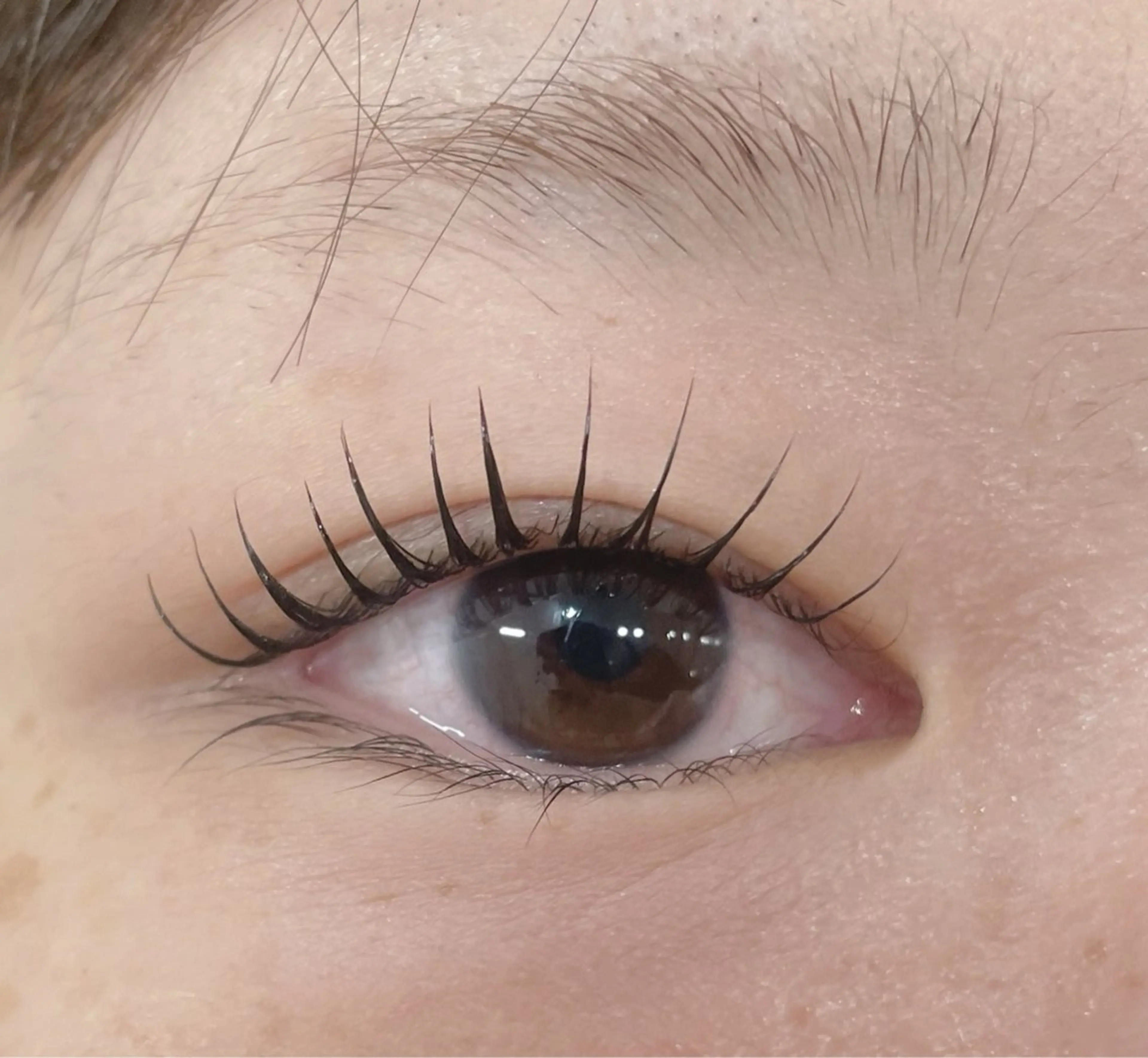 マツエク・マツパ フレイムス大宮店/ 円谷☘️のマツエク・マツパデザイン