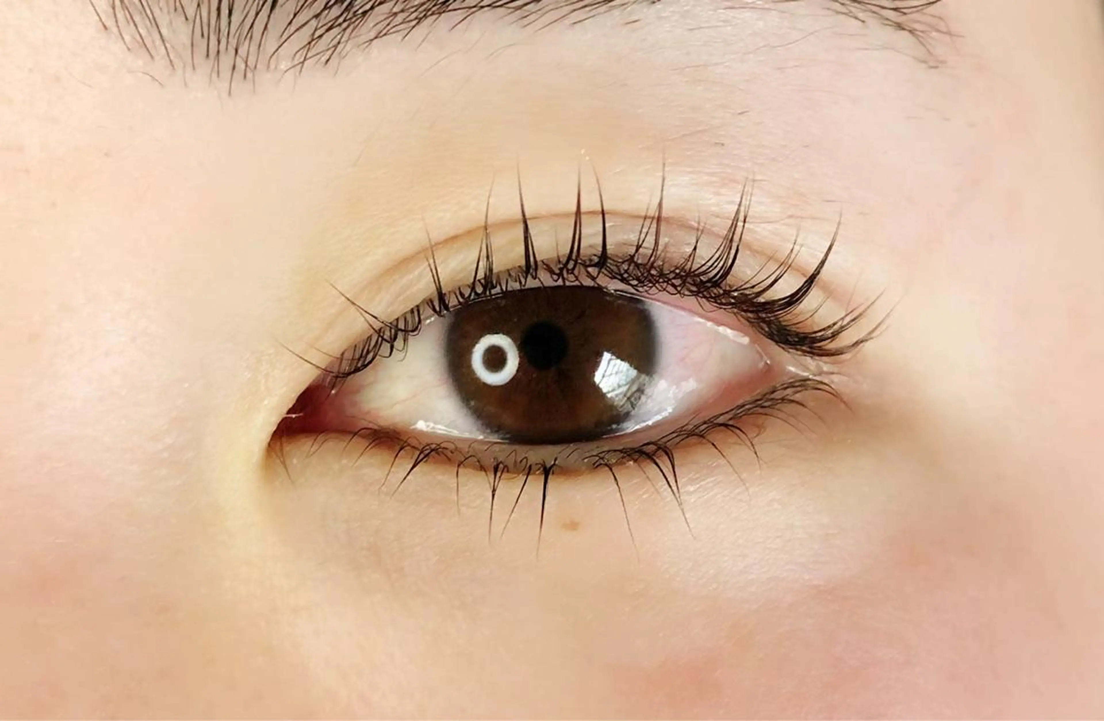 マツエク・マツパ まつげパーマ 下まつげエクステ マツパ K&E lashe /大垣 まつ毛、眉毛のマツエク・マツパデザイン