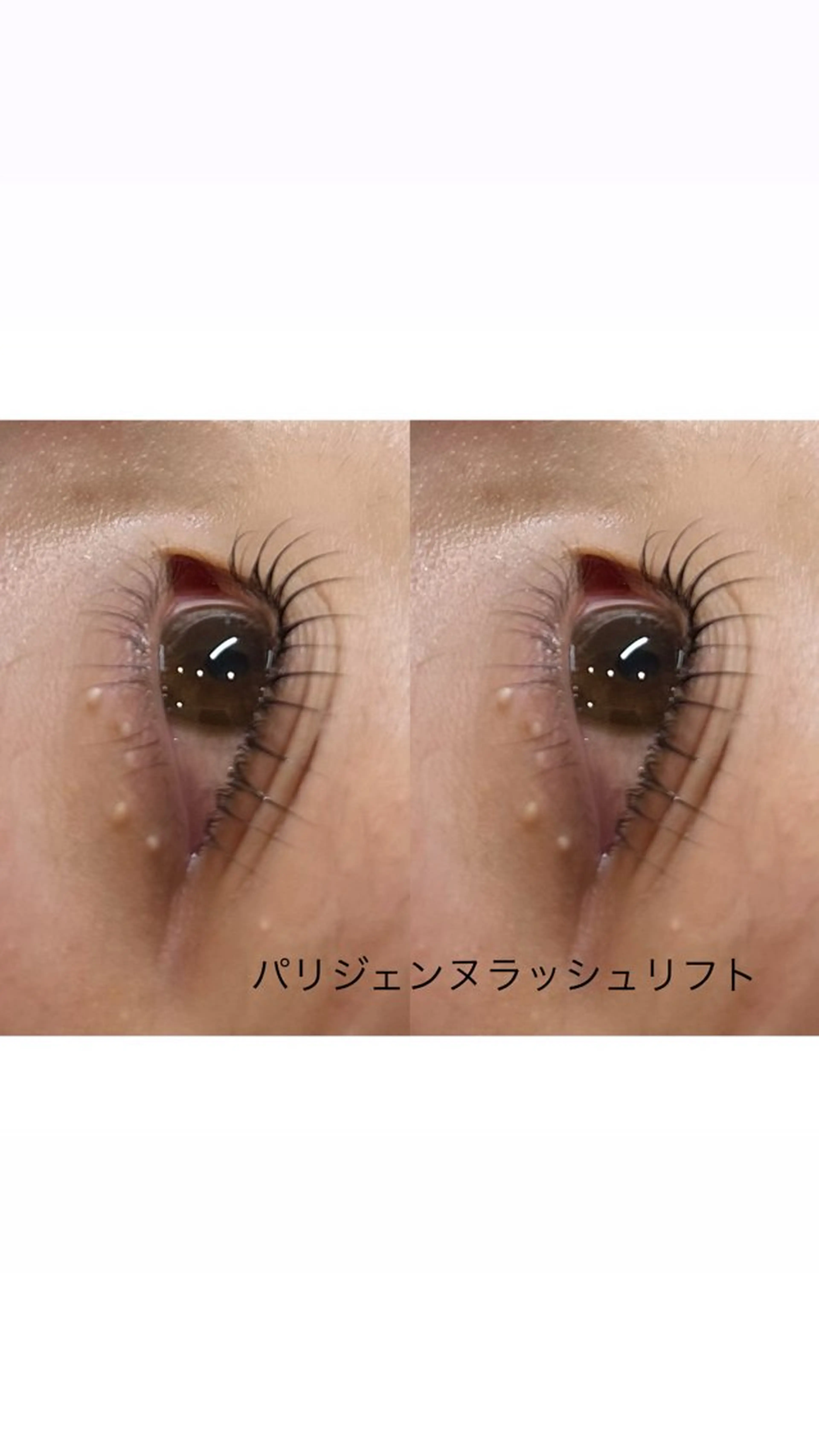 💛迷ったらこれ!似合わせまつ毛パーマ¥5,500→3,400【ミニモ限定特別価格】の写真