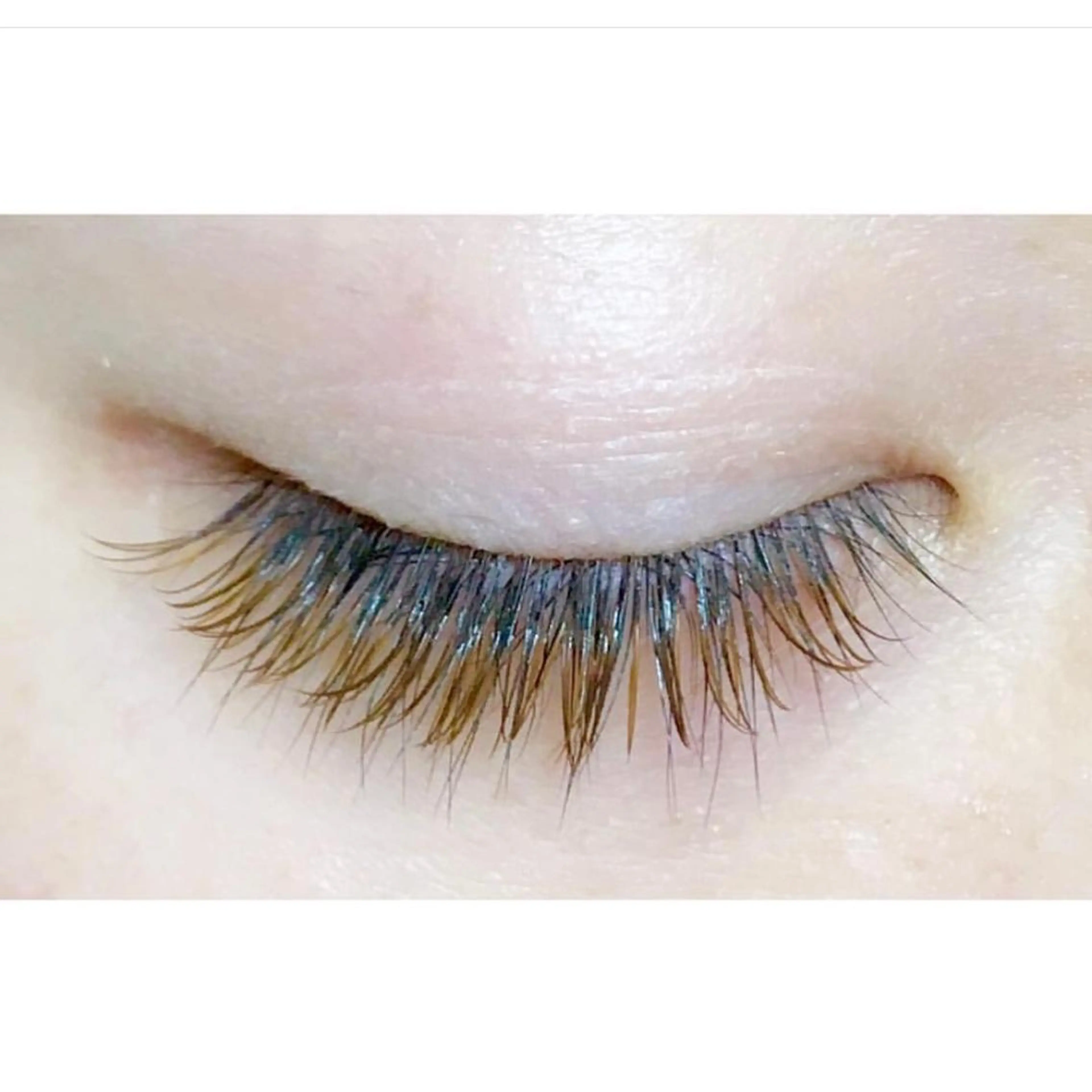 マツエク・マツパ マツエク merry eyelashのマツエク・マツパデザイン